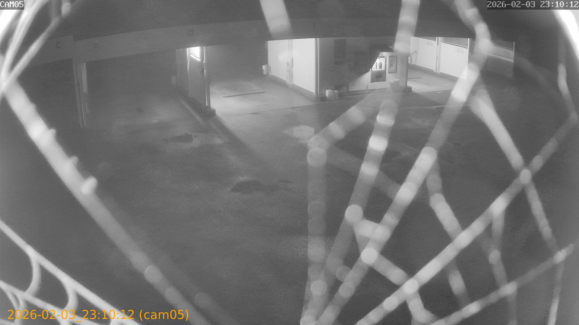 thumbnail_20260203231012