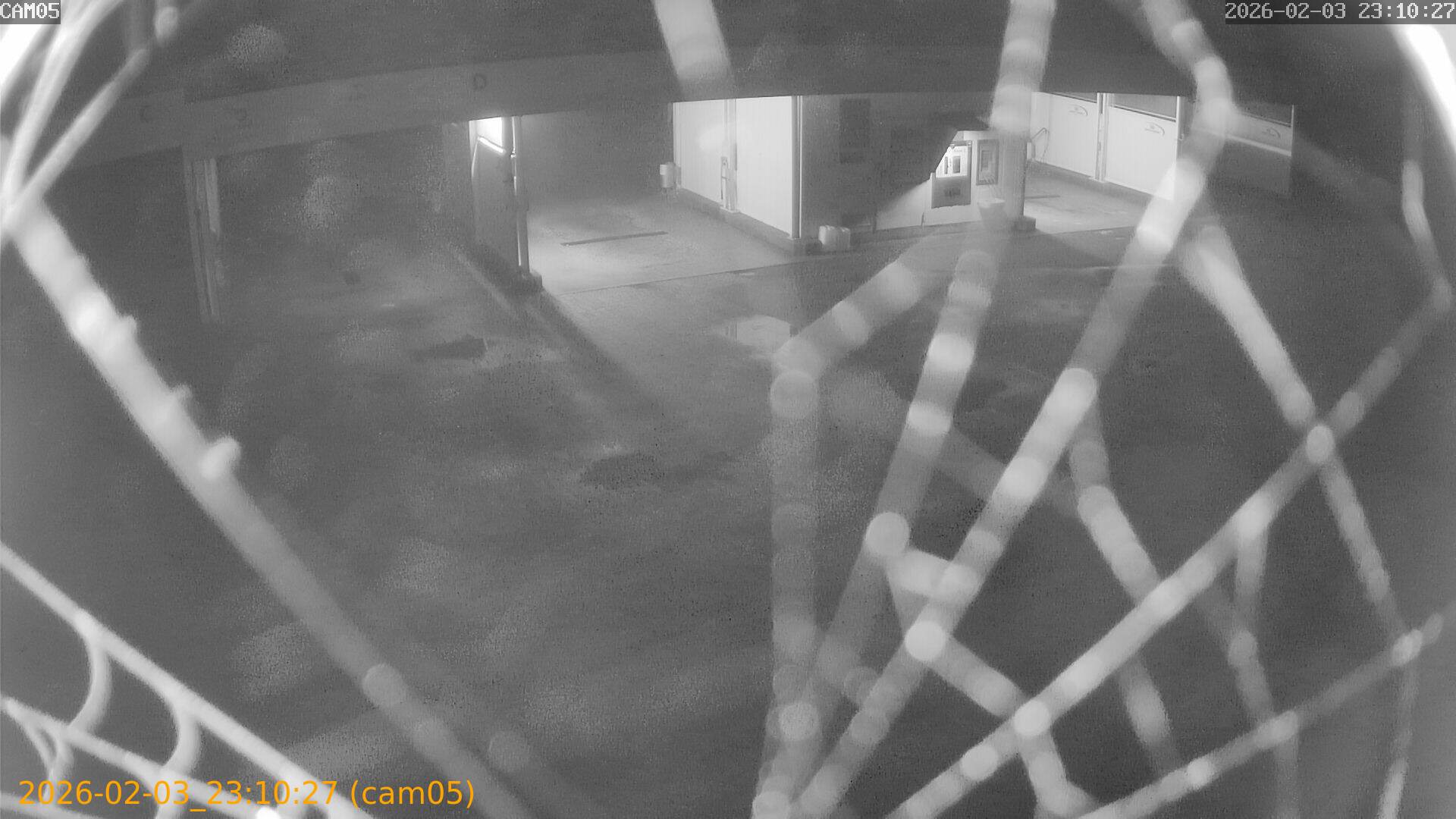 thumbnail_20260203231027