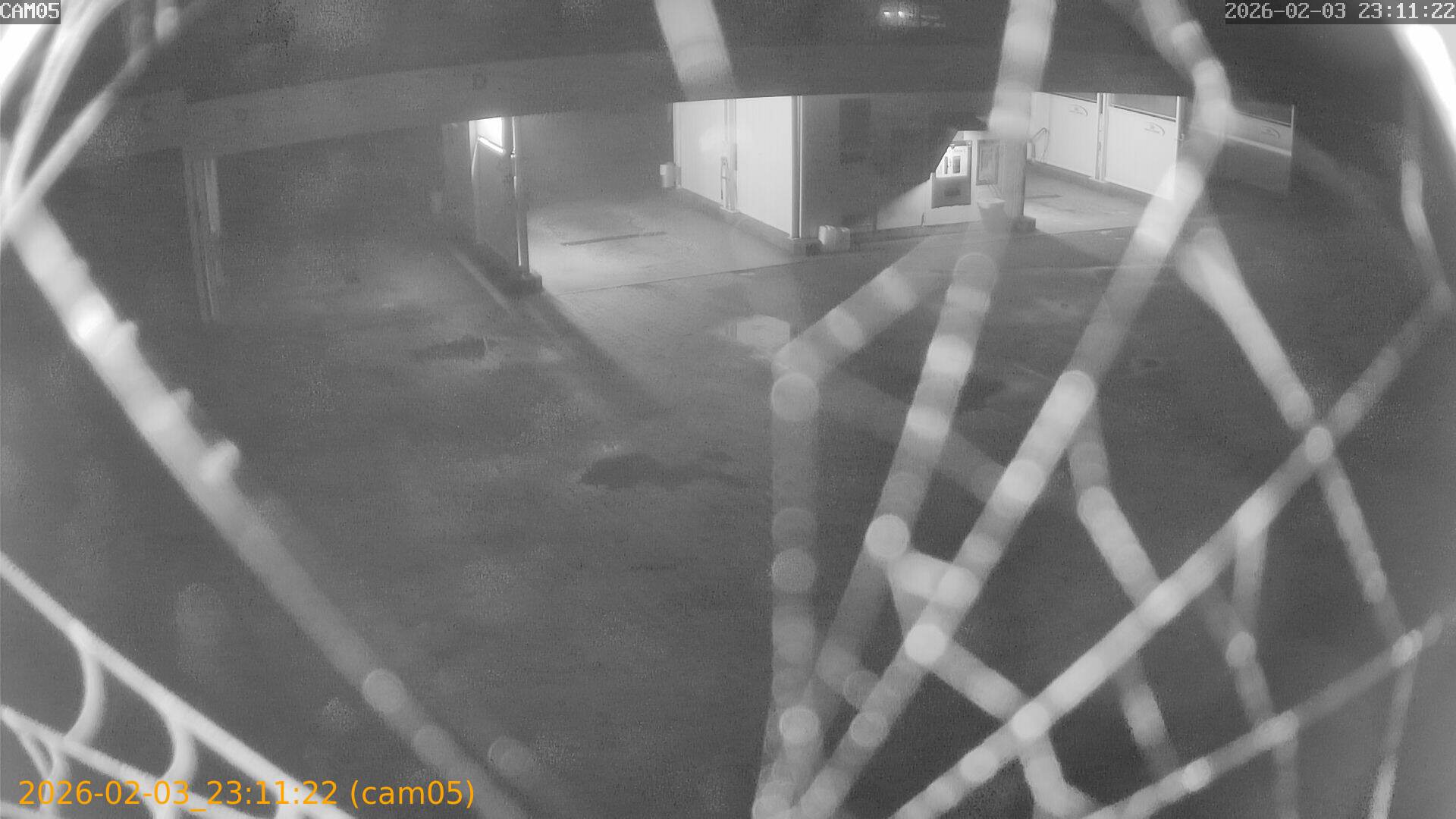 thumbnail_20260203231122