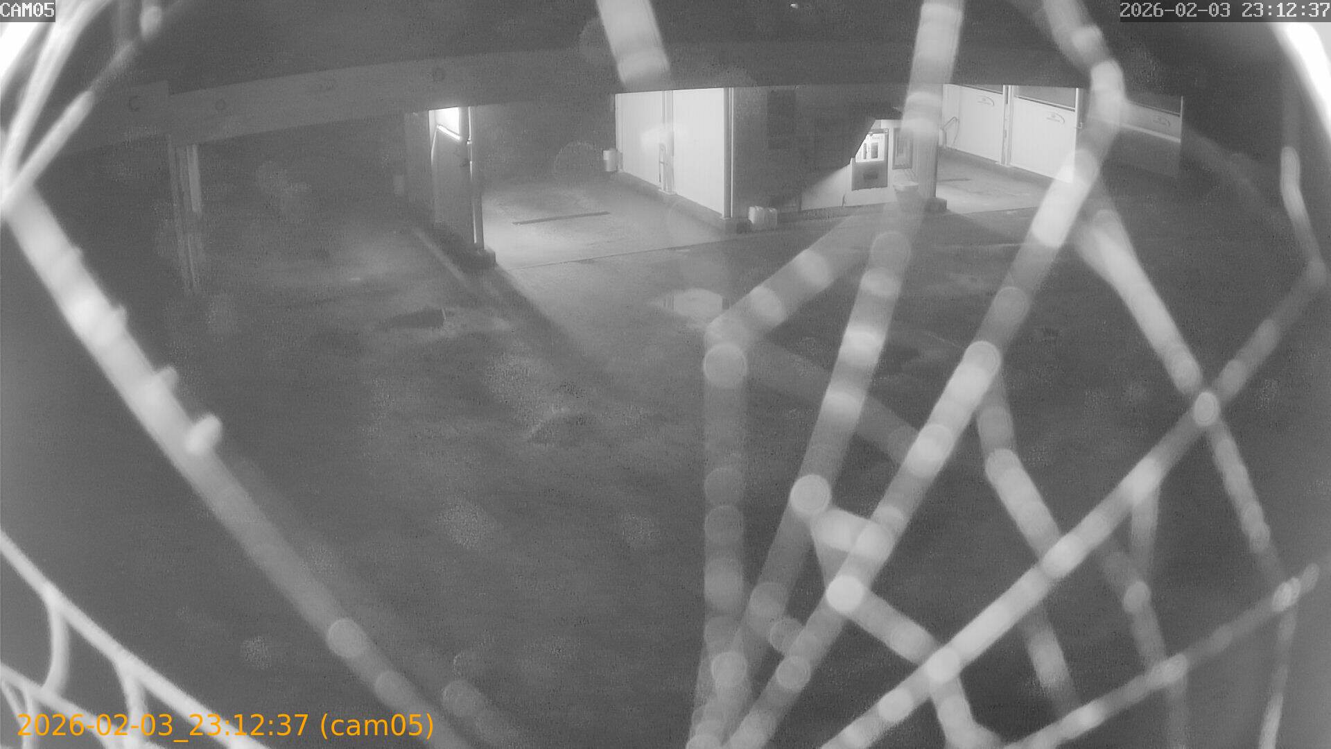 thumbnail_20260203231237