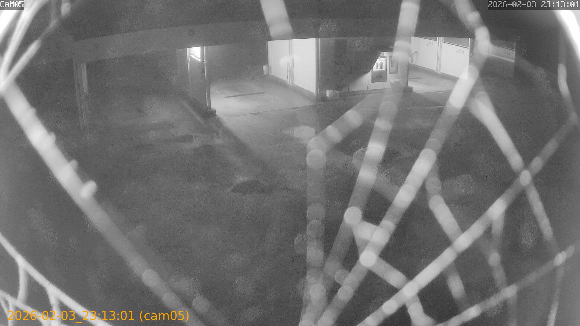 thumbnail_20260203231301