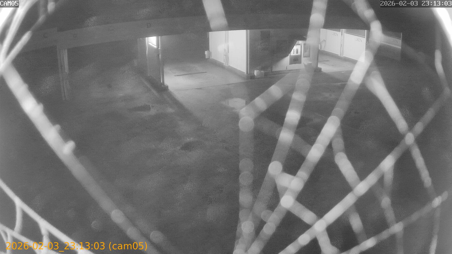 thumbnail_20260203231303