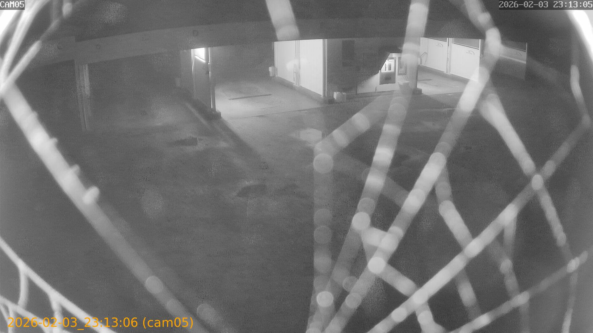 thumbnail_20260203231306