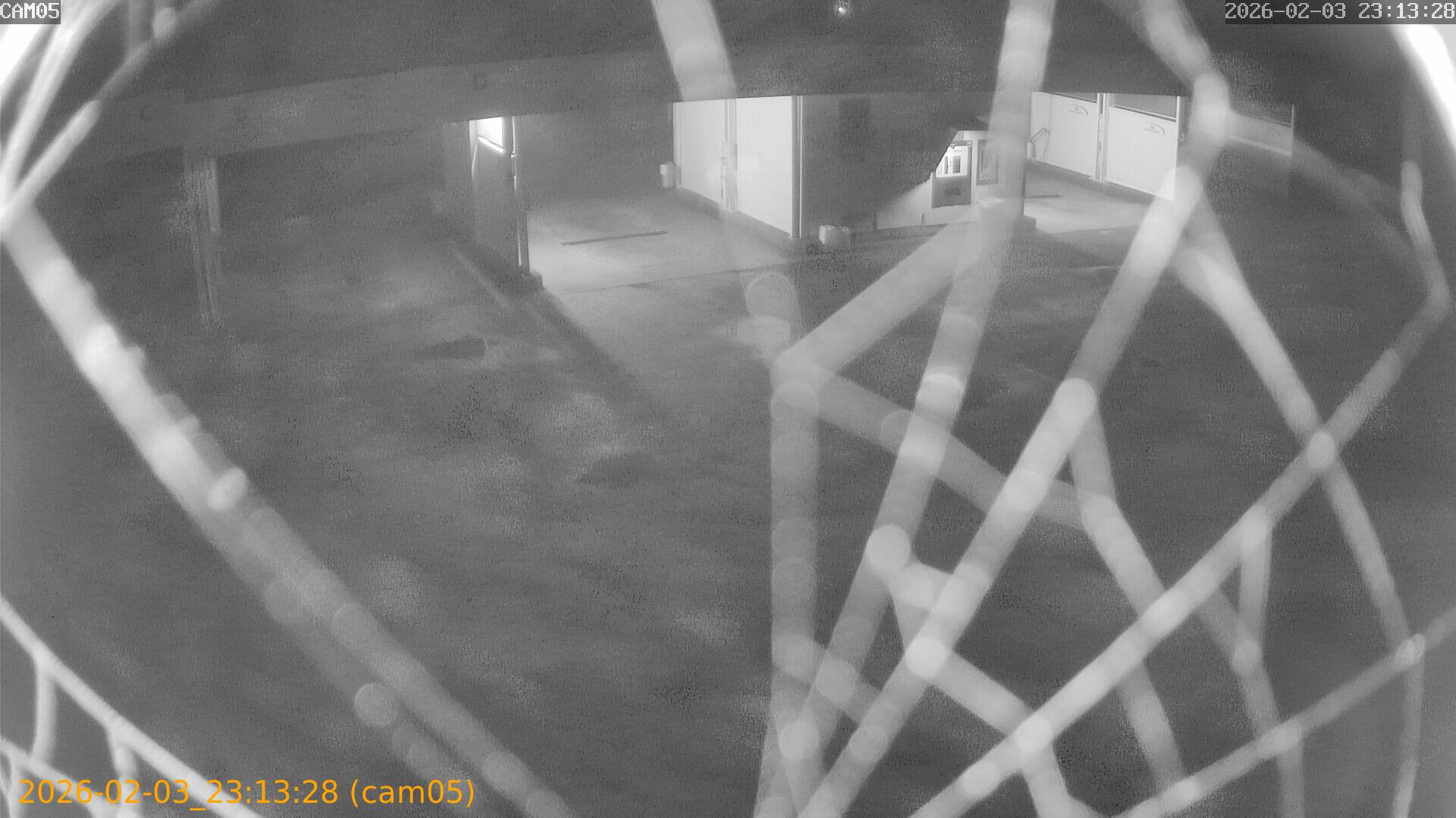 thumbnail_20260203231328