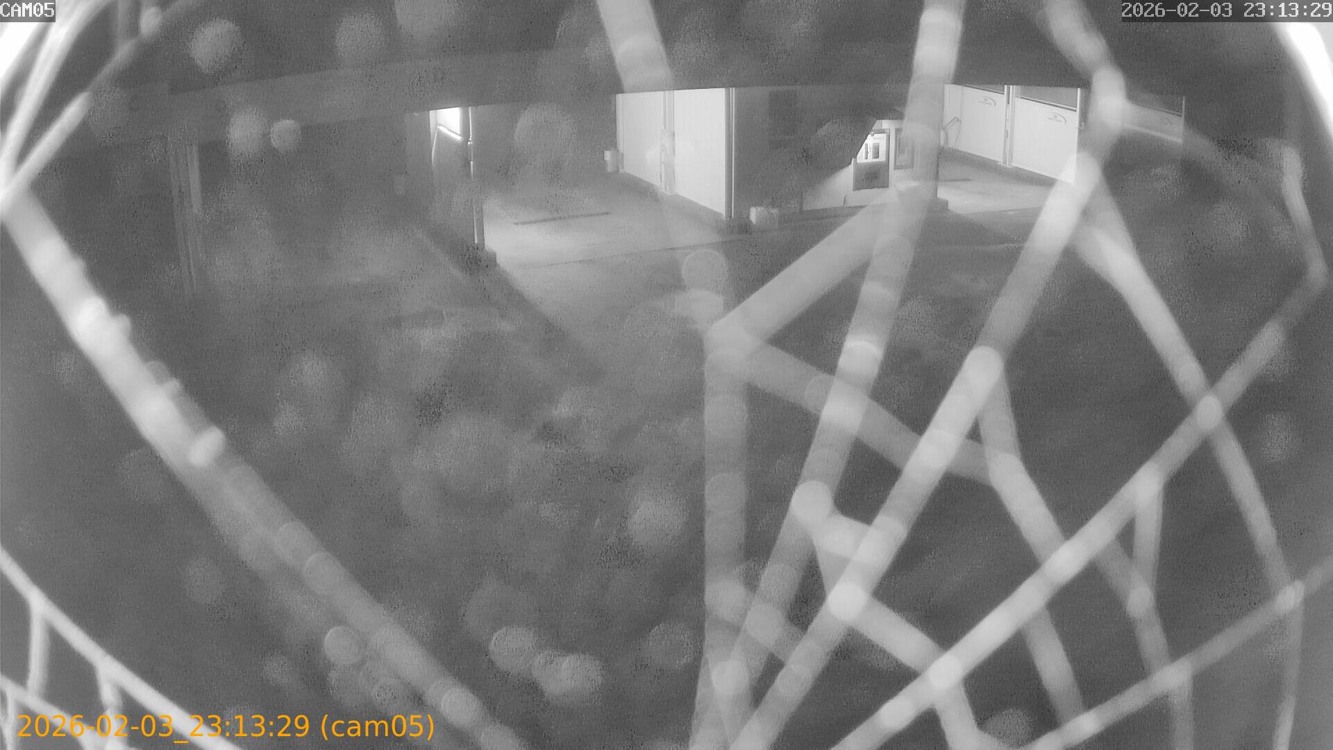 thumbnail_20260203231329