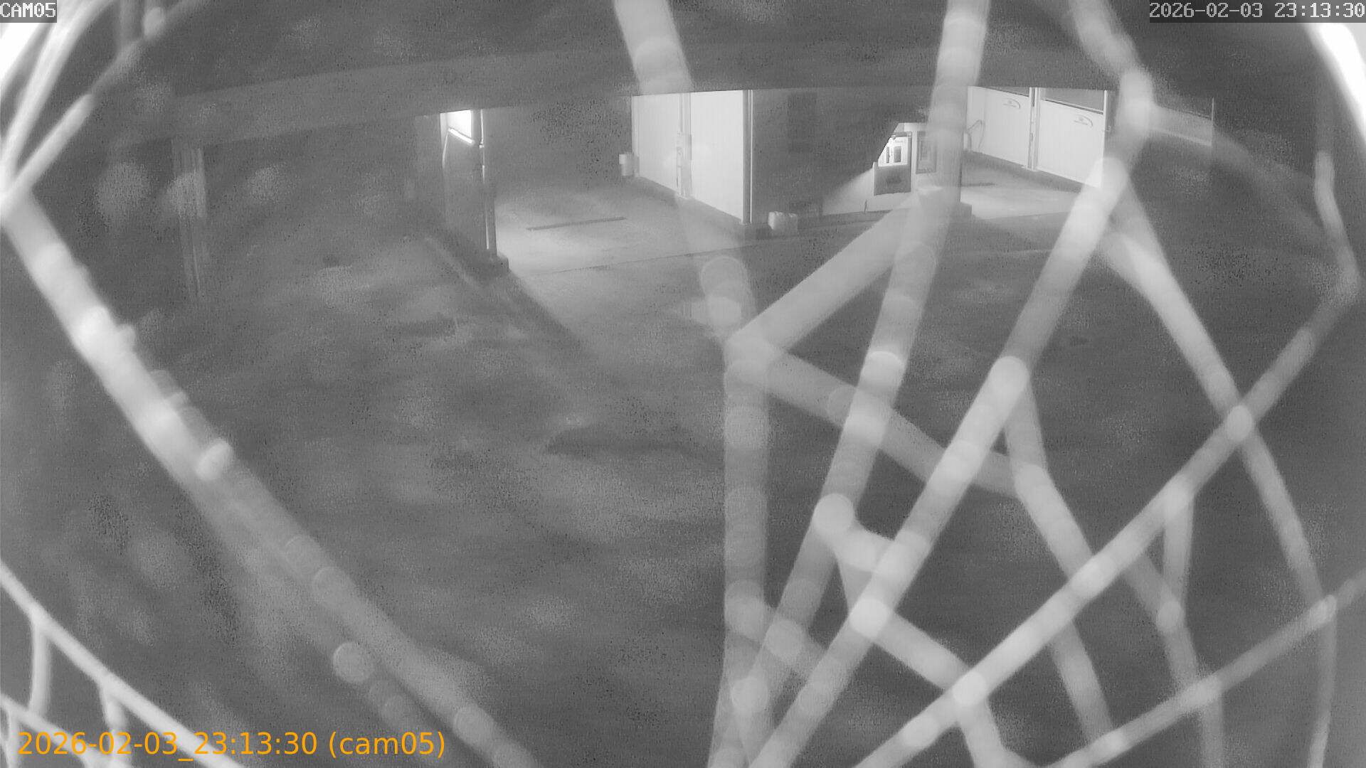 thumbnail_20260203231330