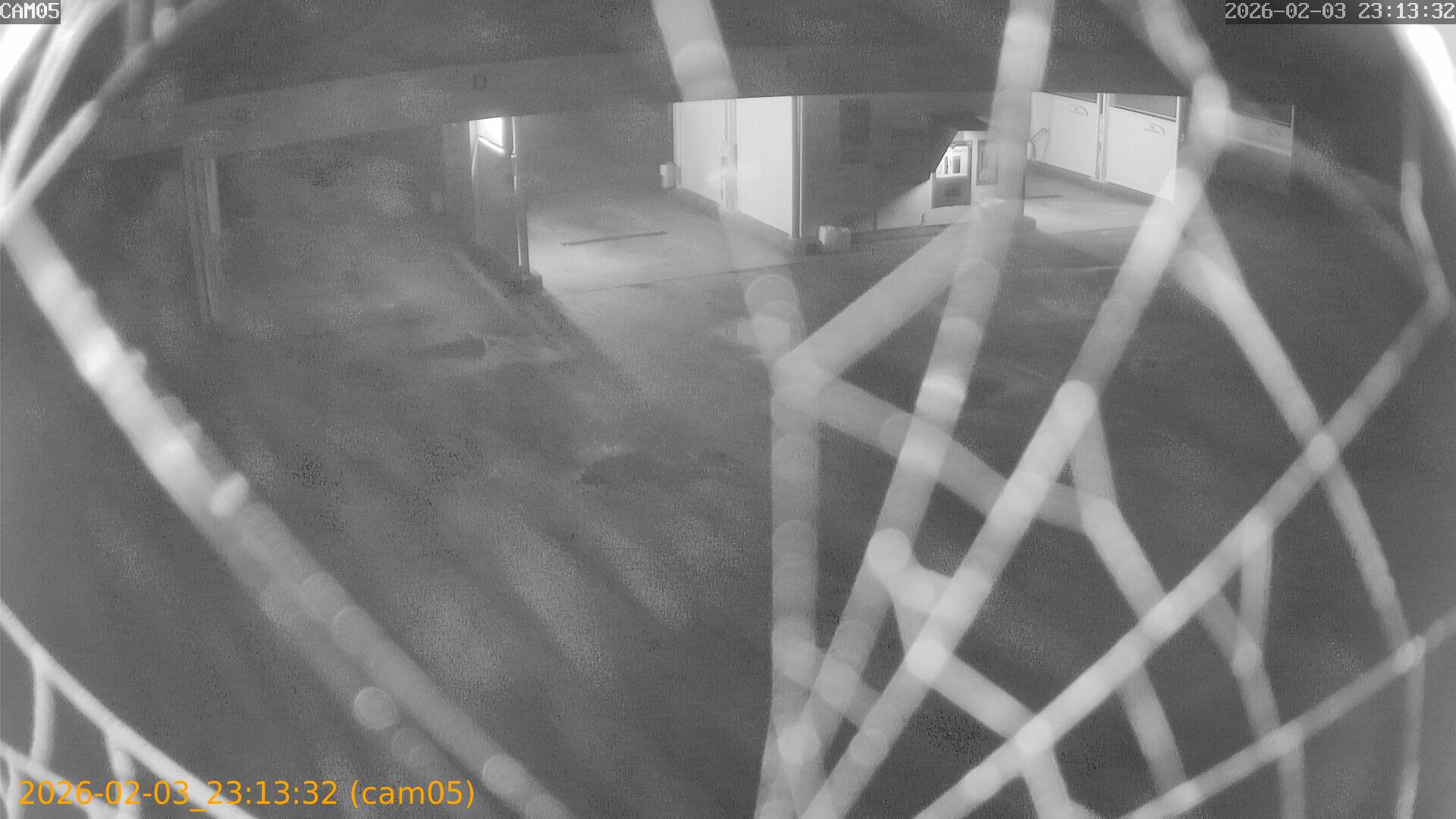 thumbnail_20260203231332