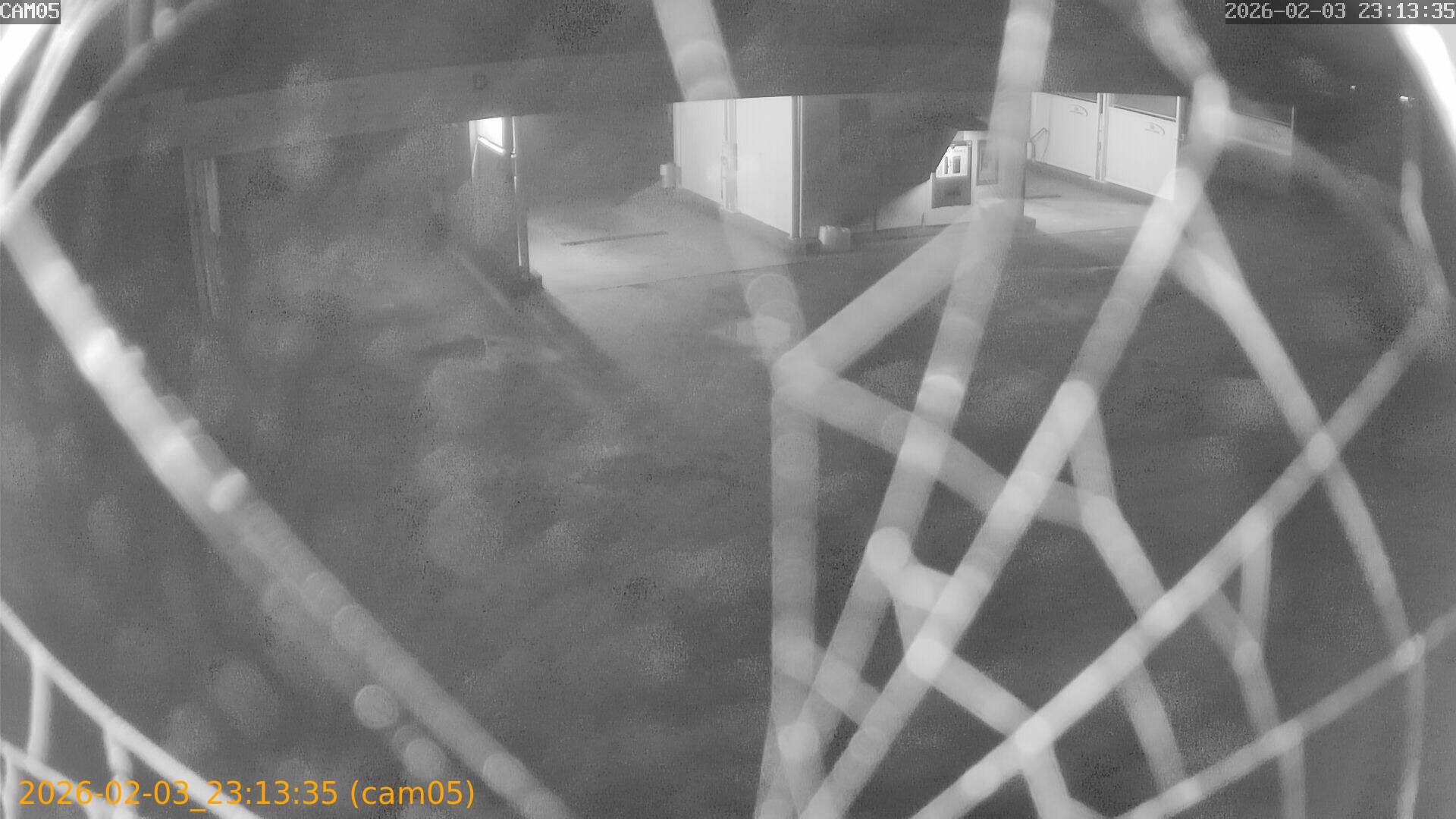 thumbnail_20260203231335