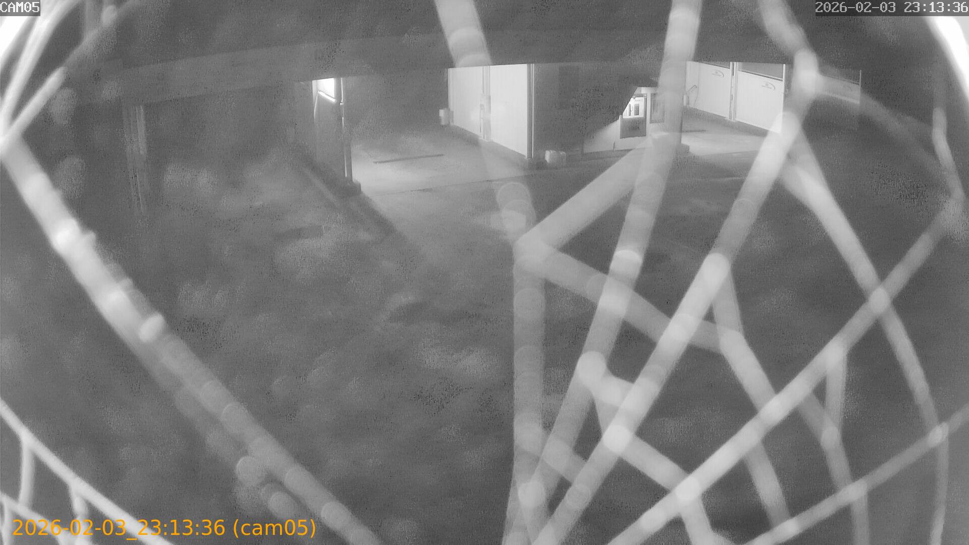 thumbnail_20260203231336