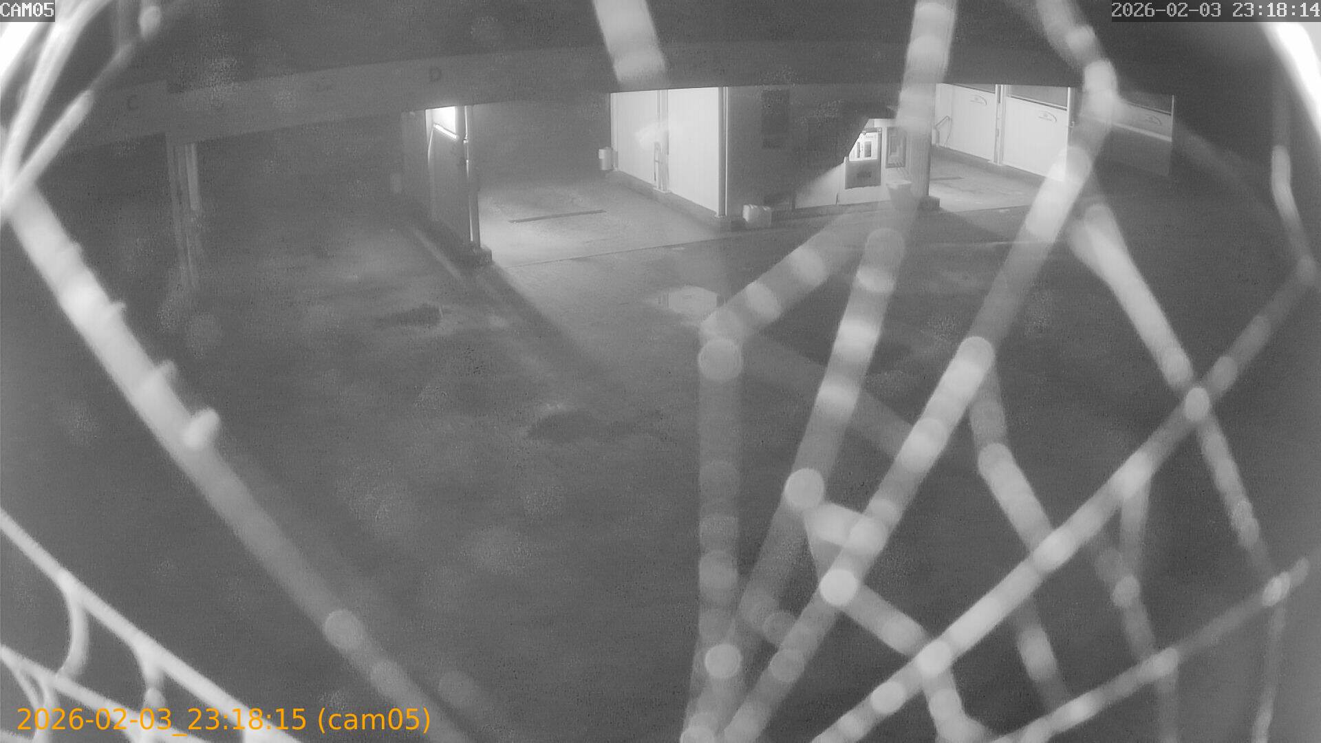 thumbnail_20260203231815