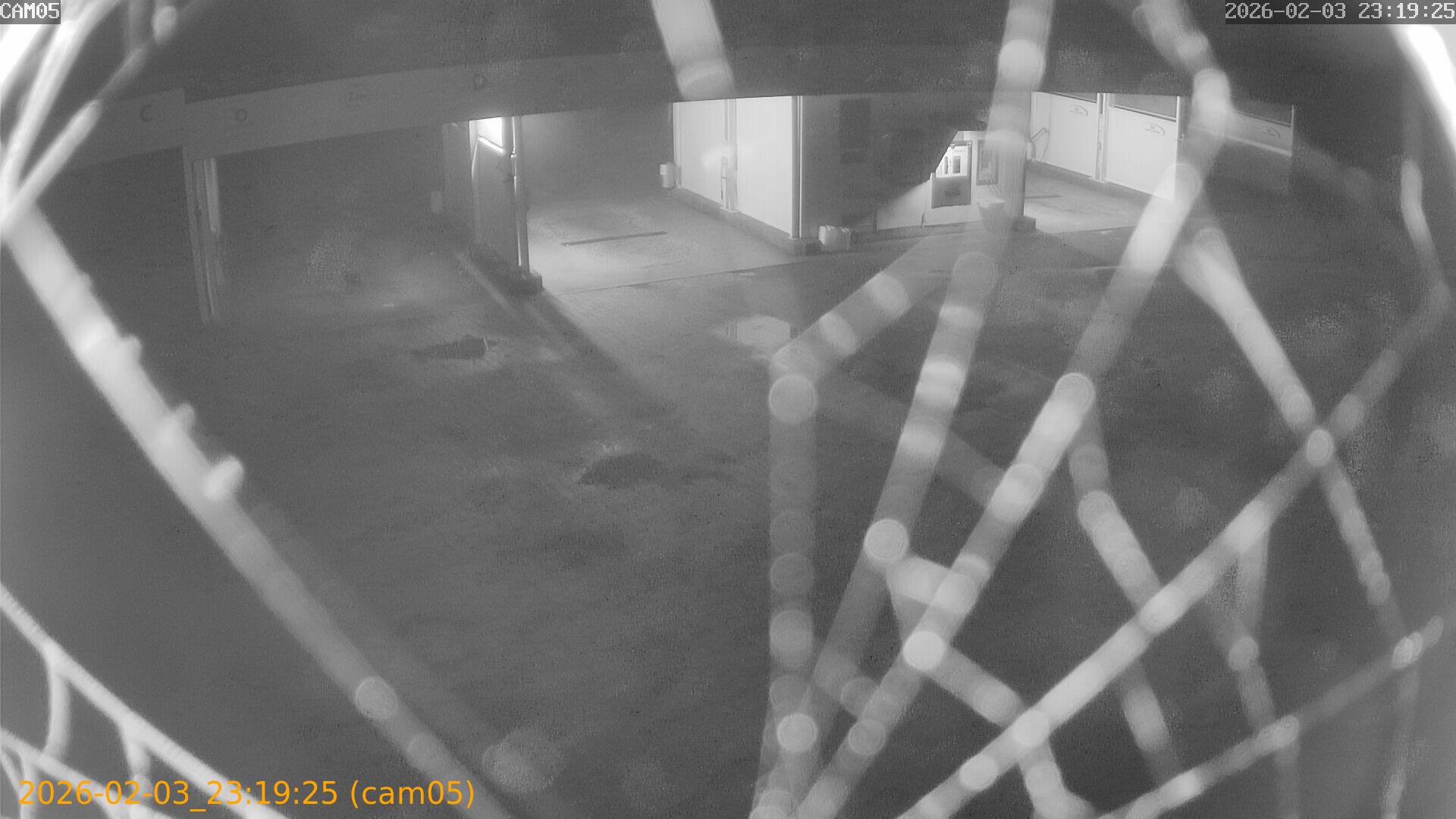 thumbnail_20260203231925