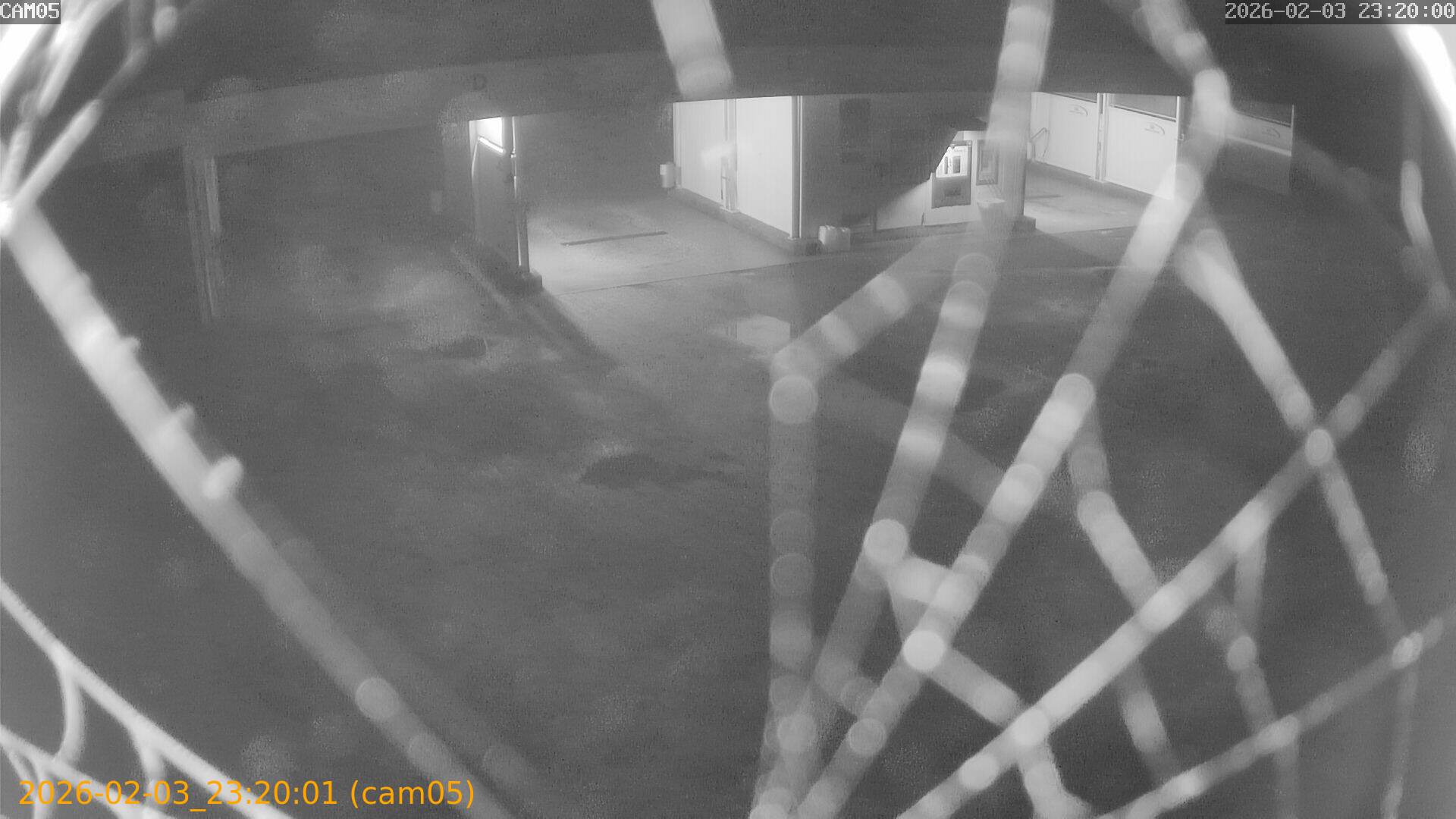 thumbnail_20260203232001