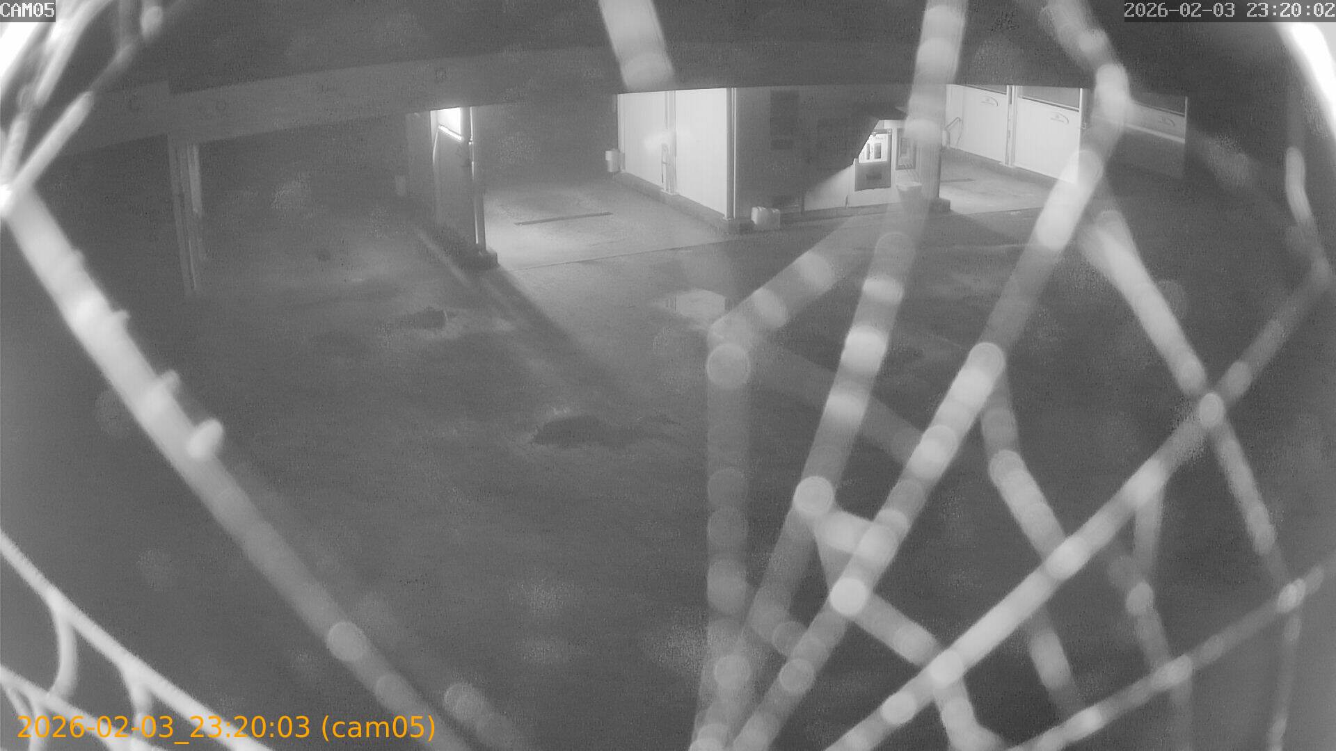 thumbnail_20260203232003