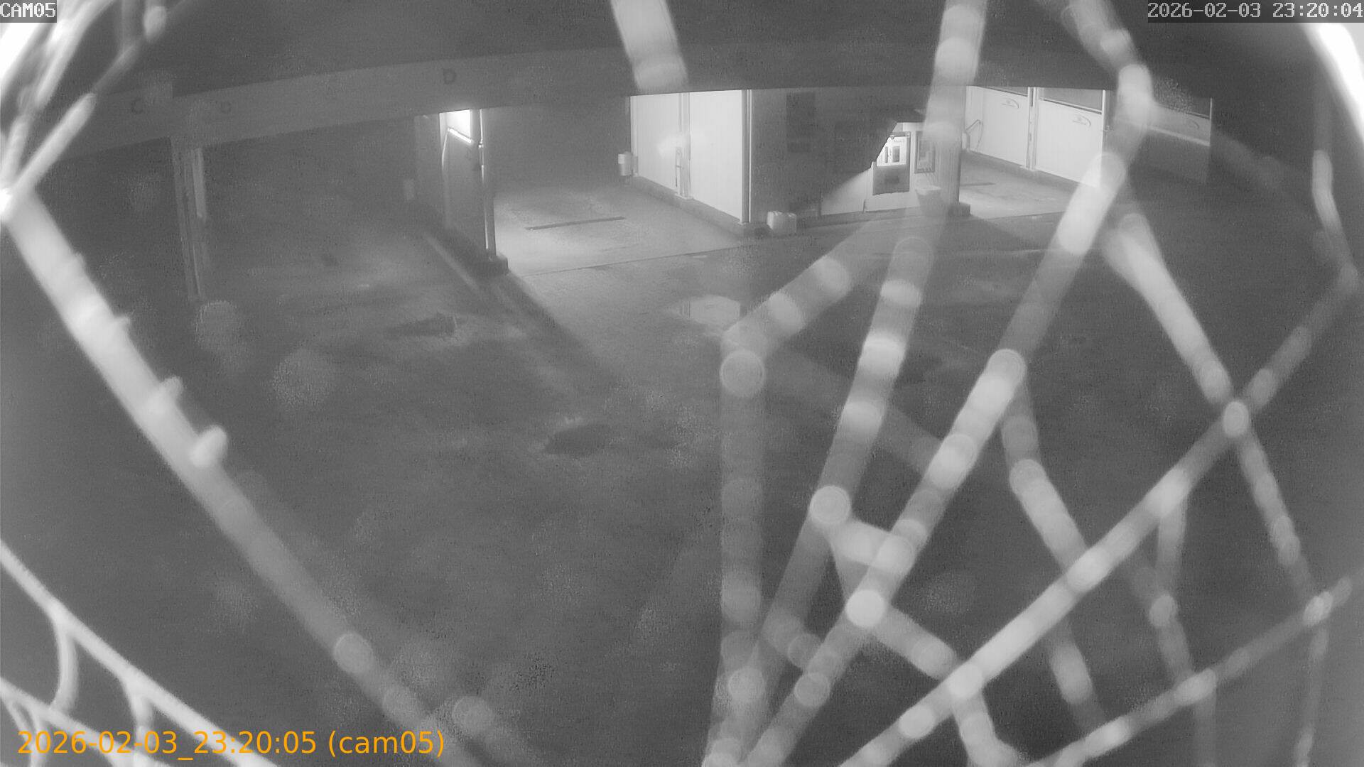 thumbnail_20260203232005