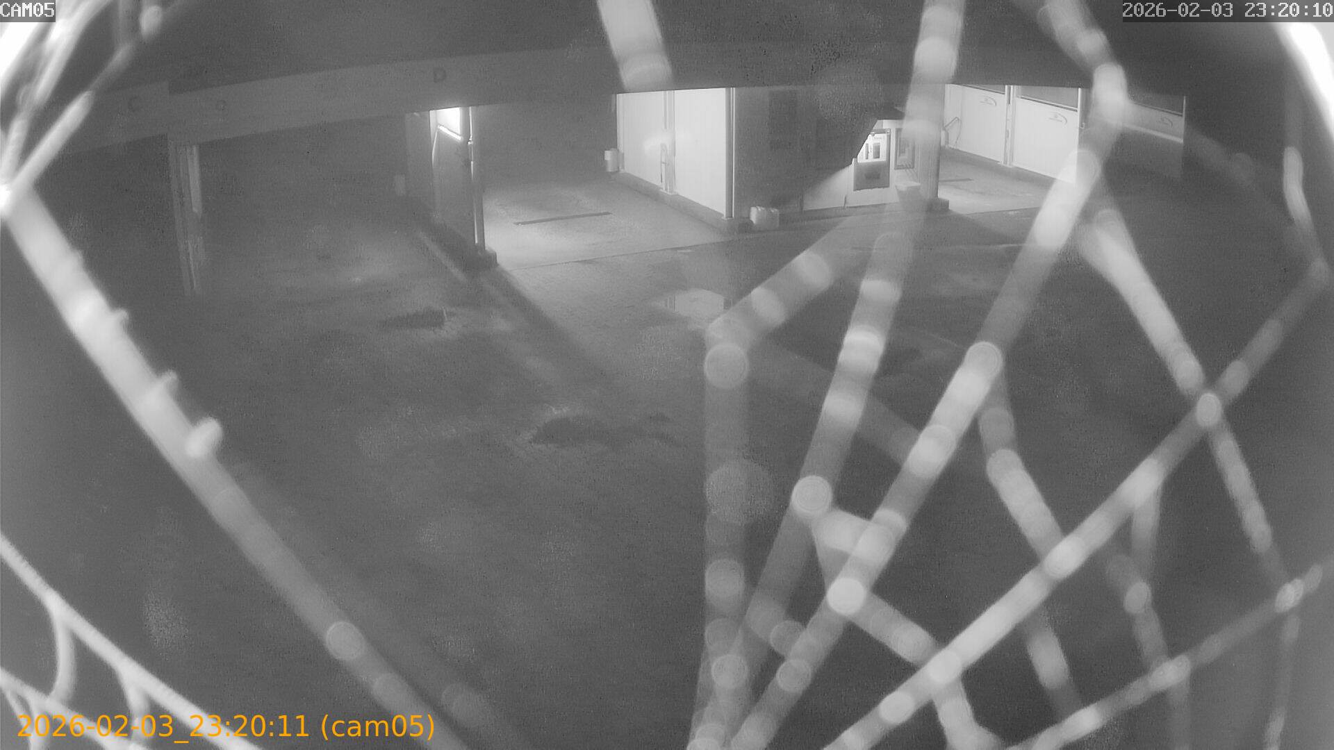 thumbnail_20260203232011