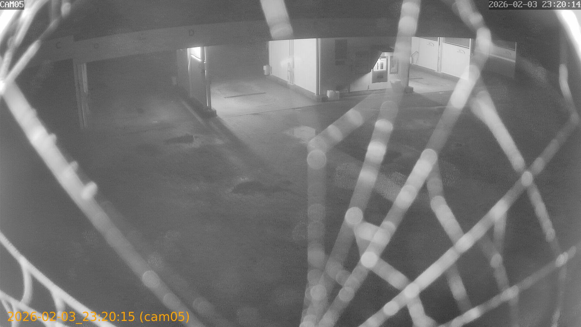 thumbnail_20260203232015