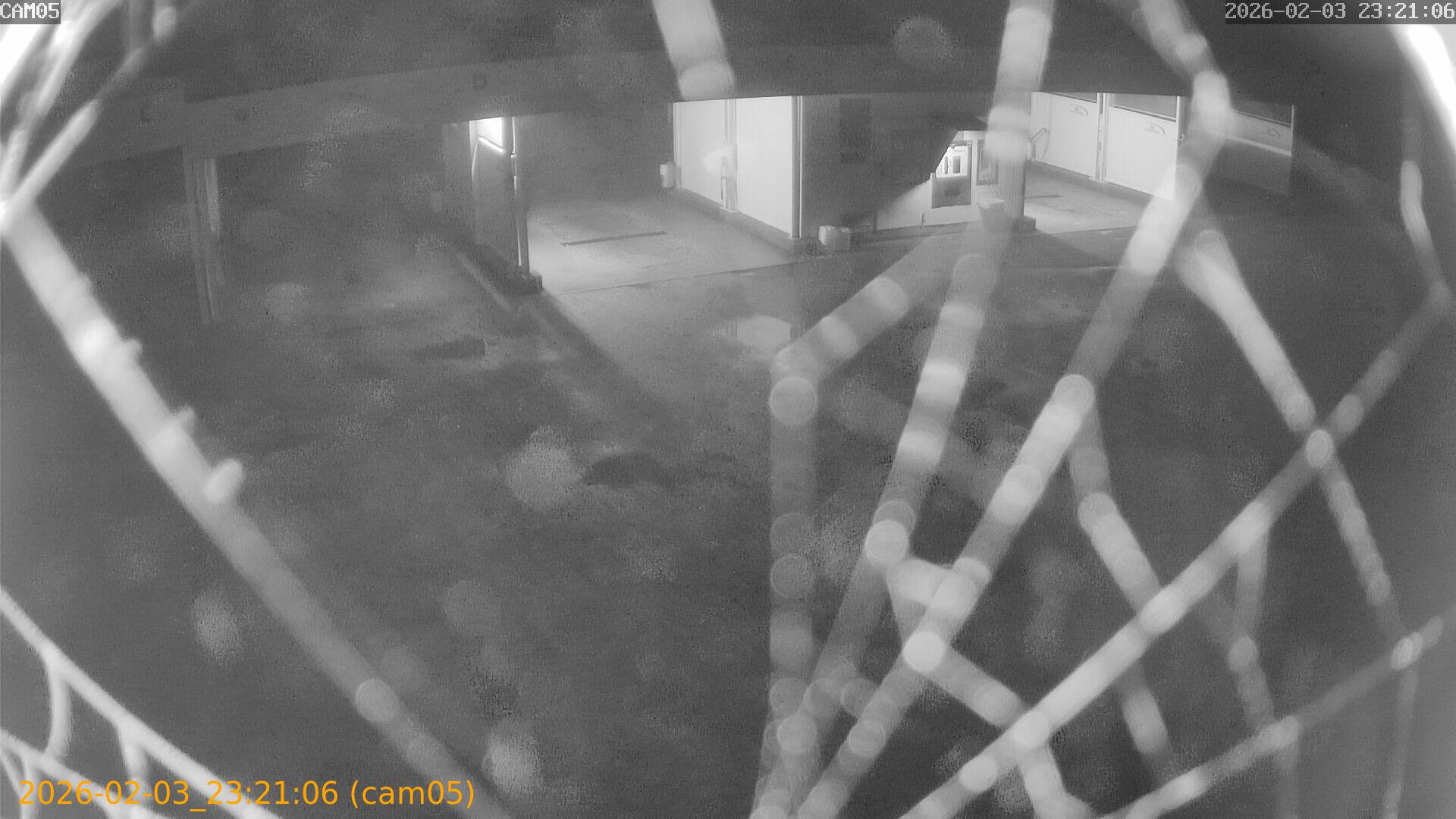 thumbnail_20260203232106