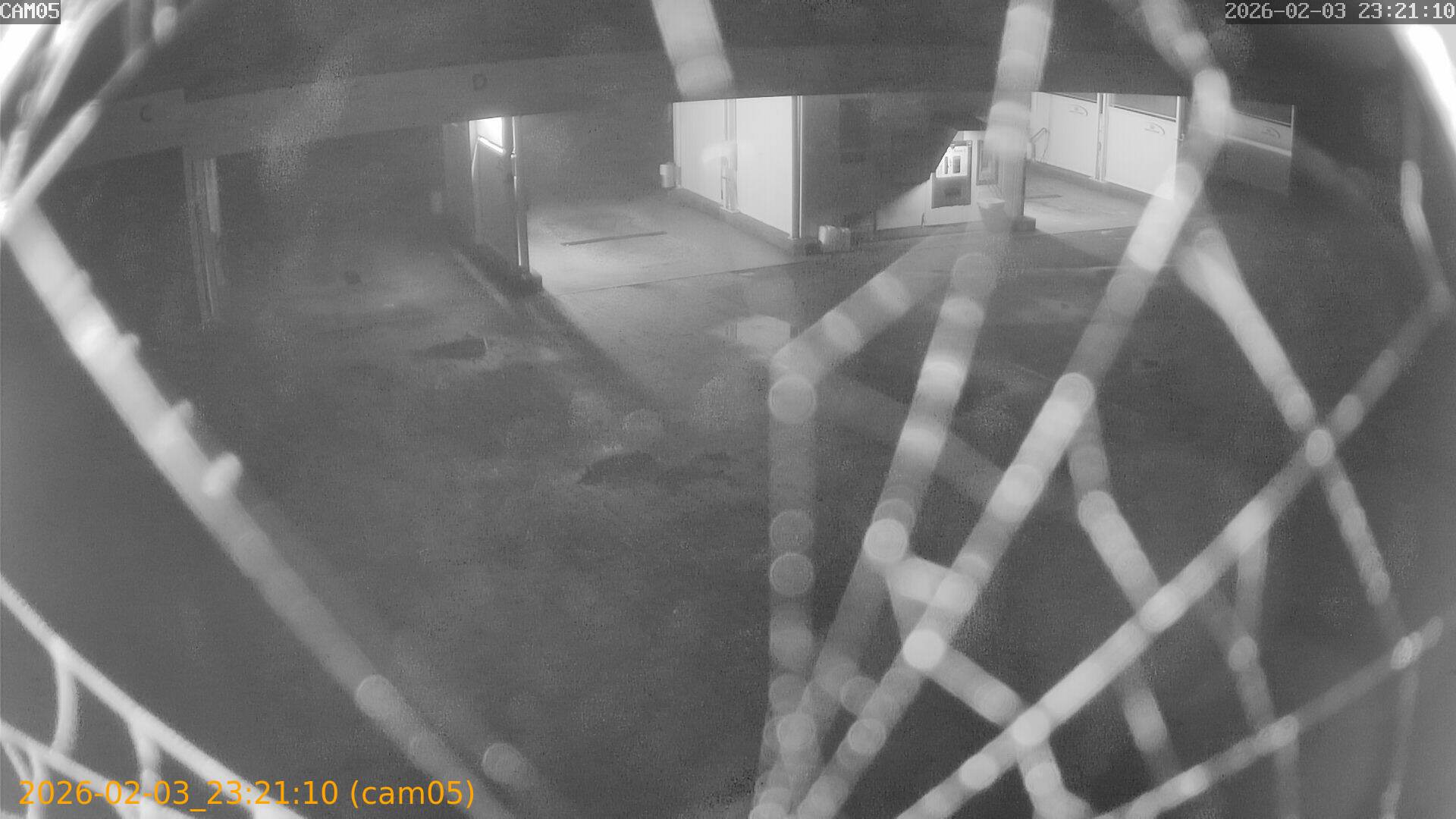 thumbnail_20260203232110