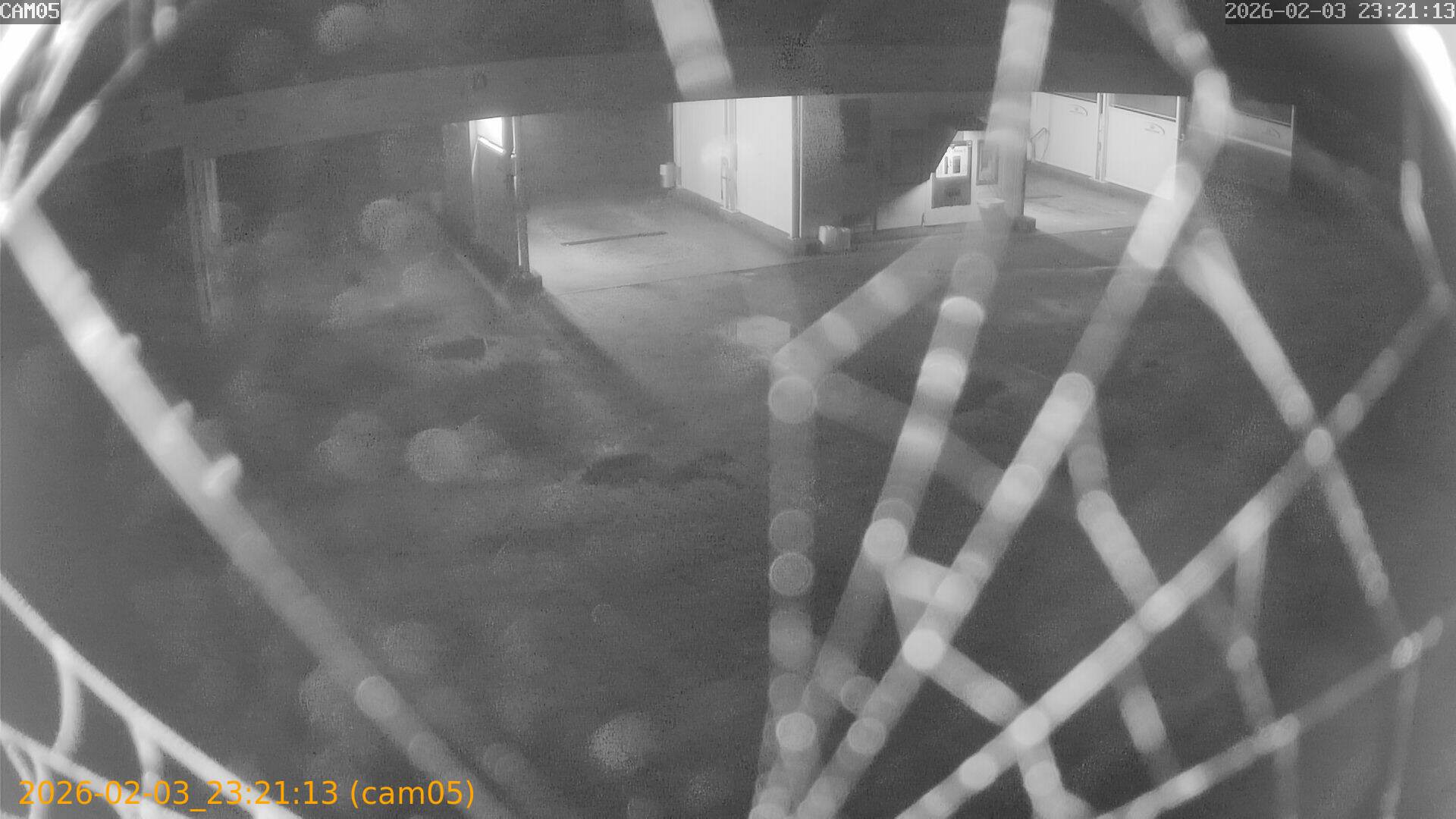 thumbnail_20260203232113