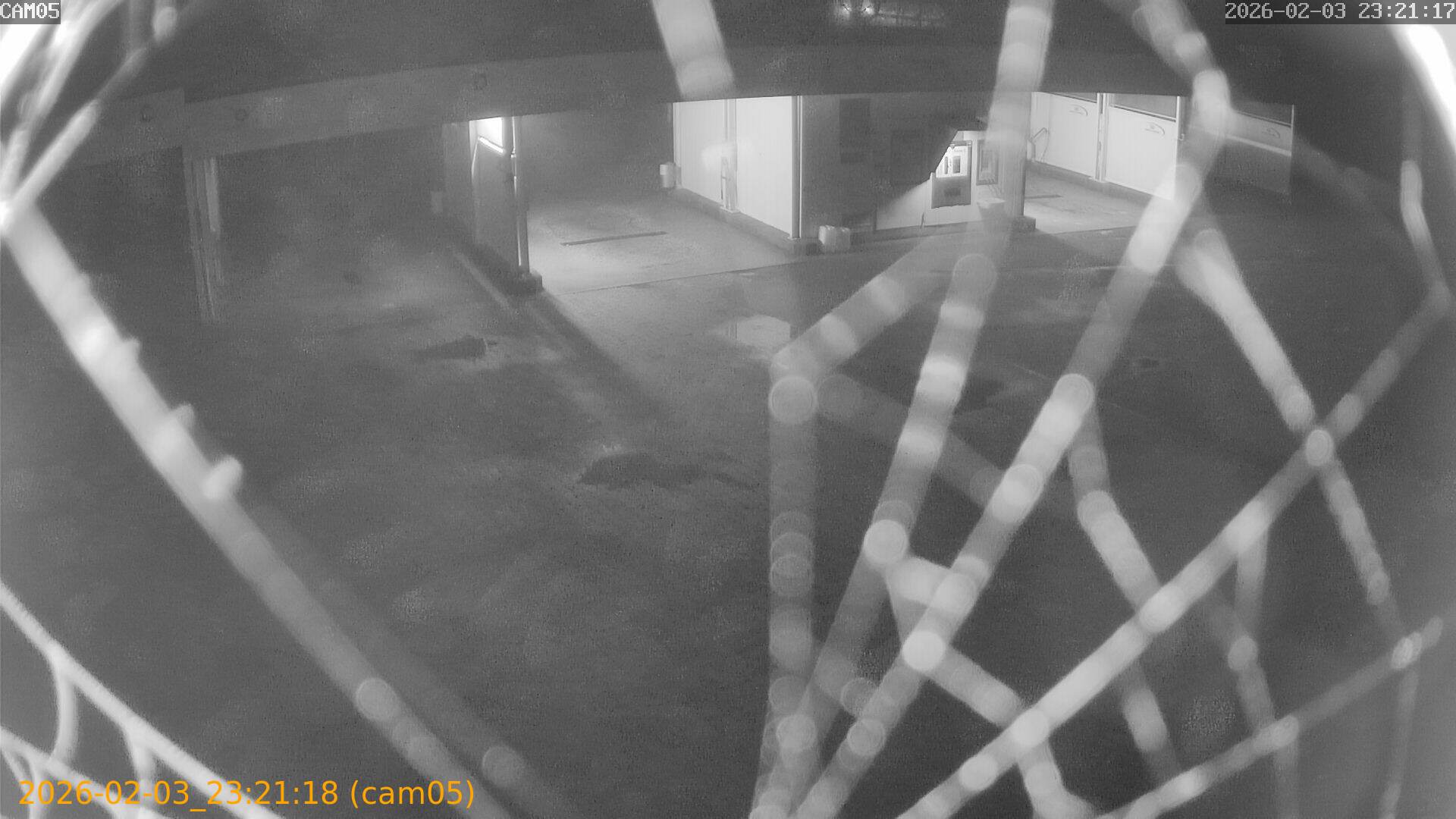 thumbnail_20260203232118