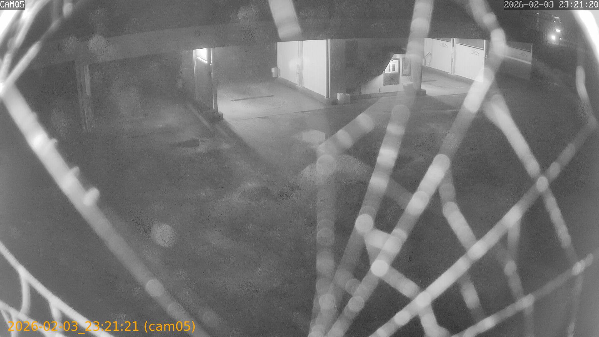 thumbnail_20260203232121