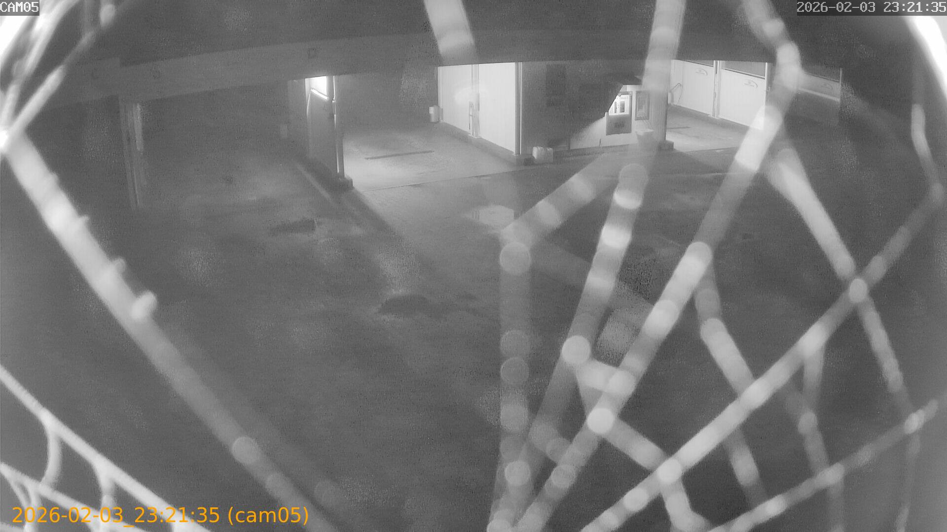 thumbnail_20260203232135