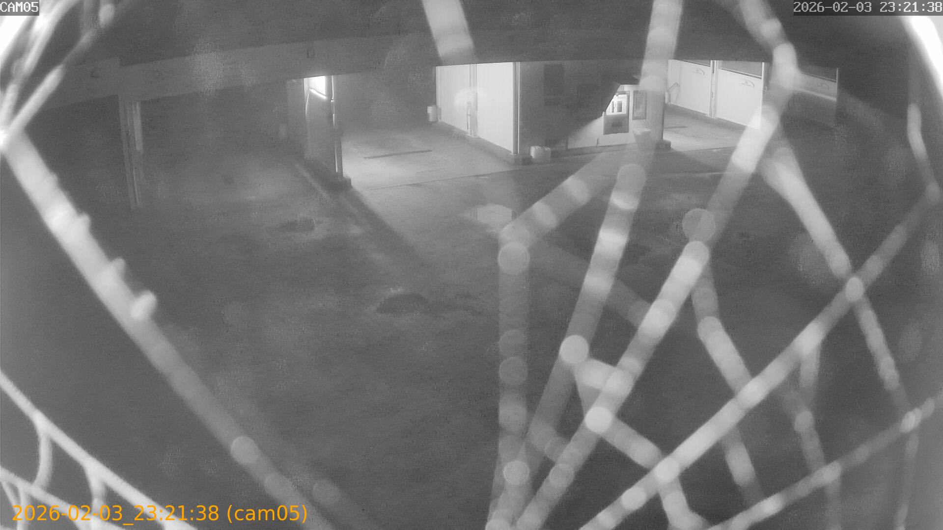 thumbnail_20260203232138