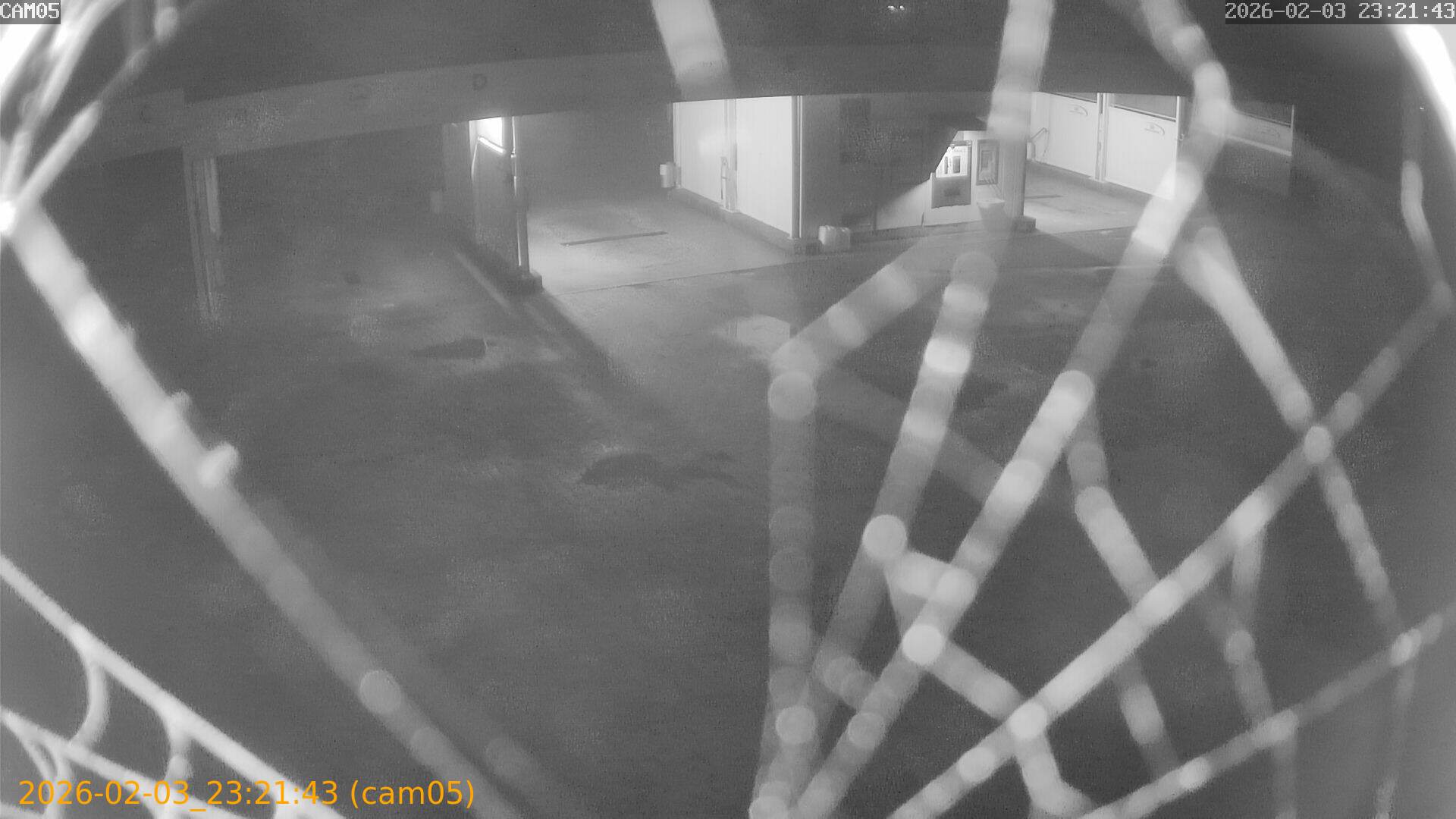 thumbnail_20260203232143