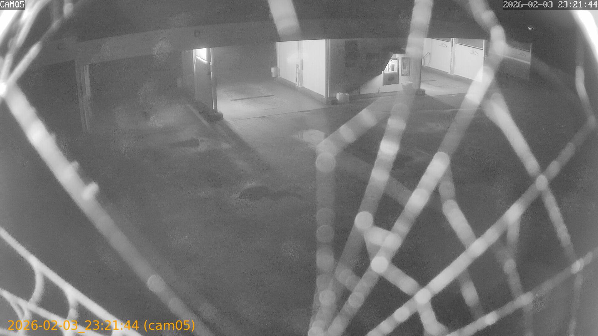 thumbnail_20260203232144