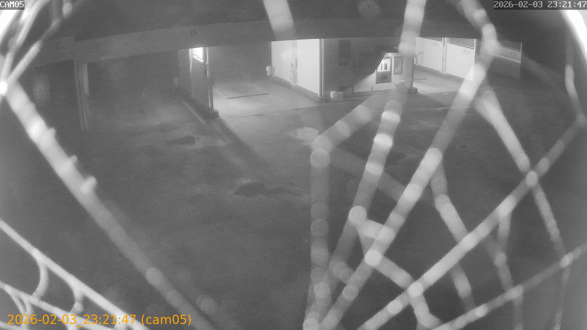 thumbnail_20260203232147