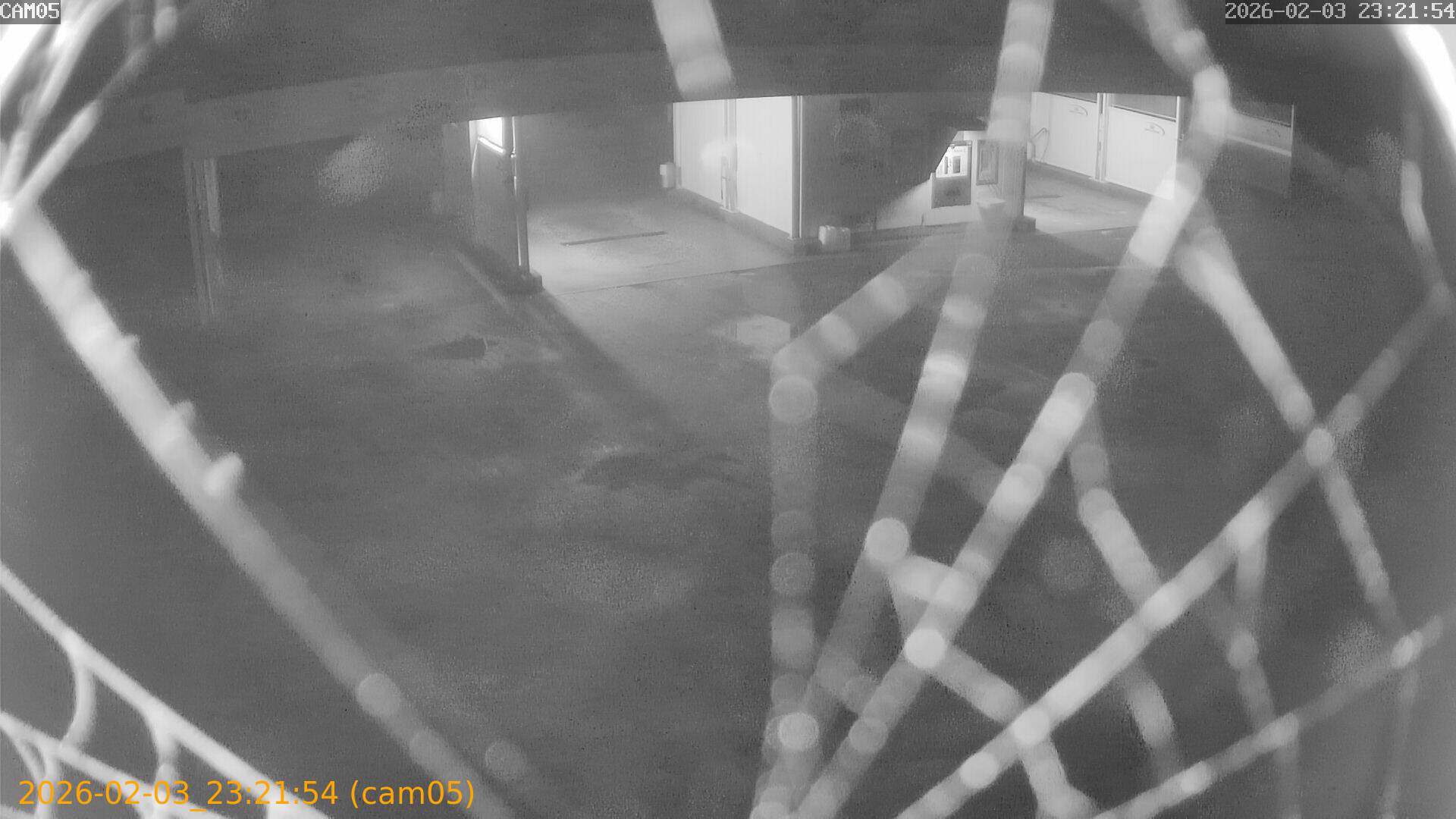 thumbnail_20260203232154