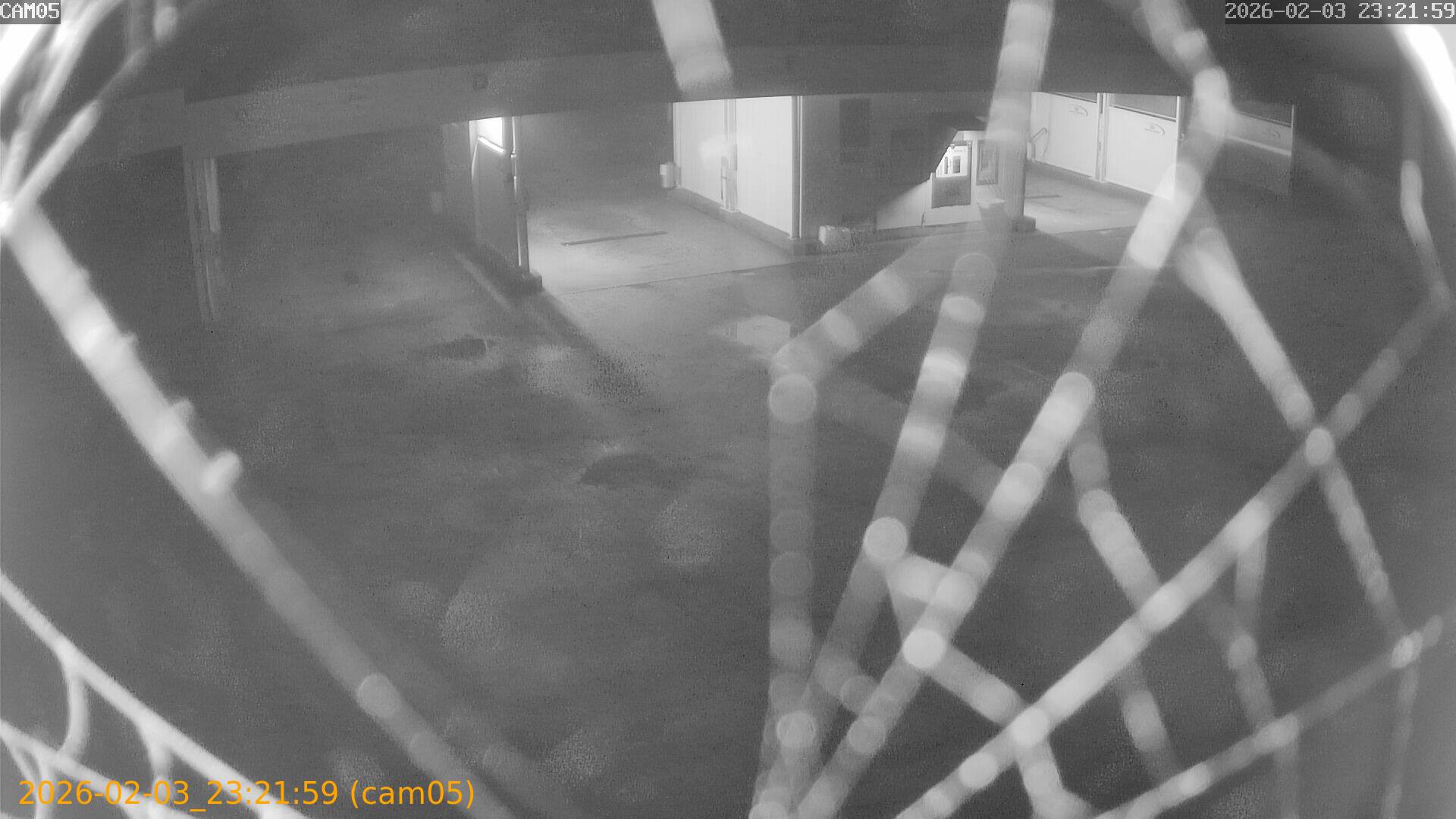 thumbnail_20260203232159