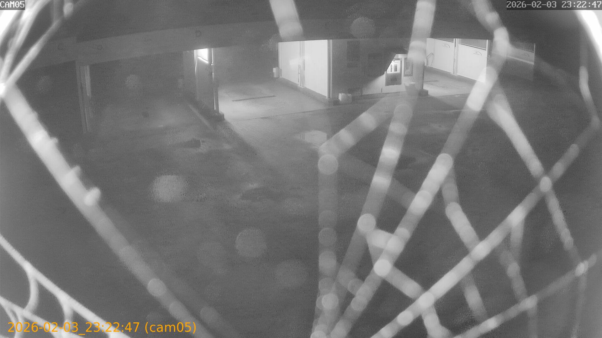 thumbnail_20260203232247