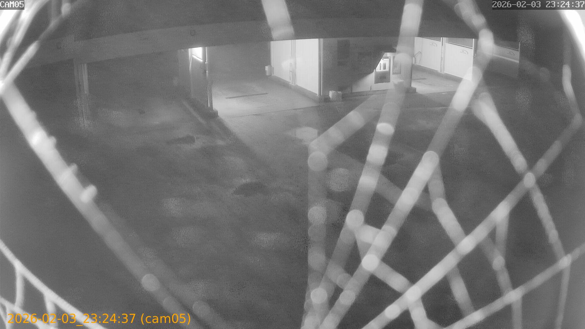 thumbnail_20260203232437