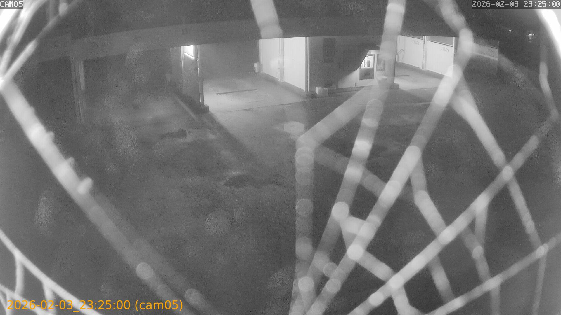 thumbnail_20260203232500