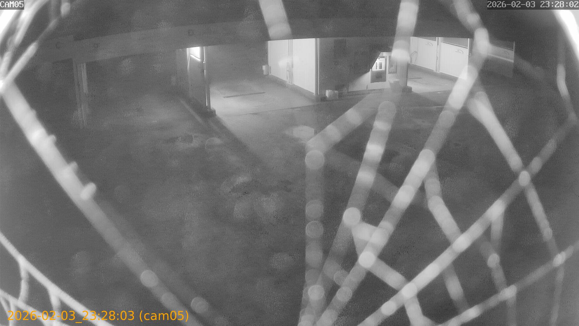 thumbnail_20260203232803