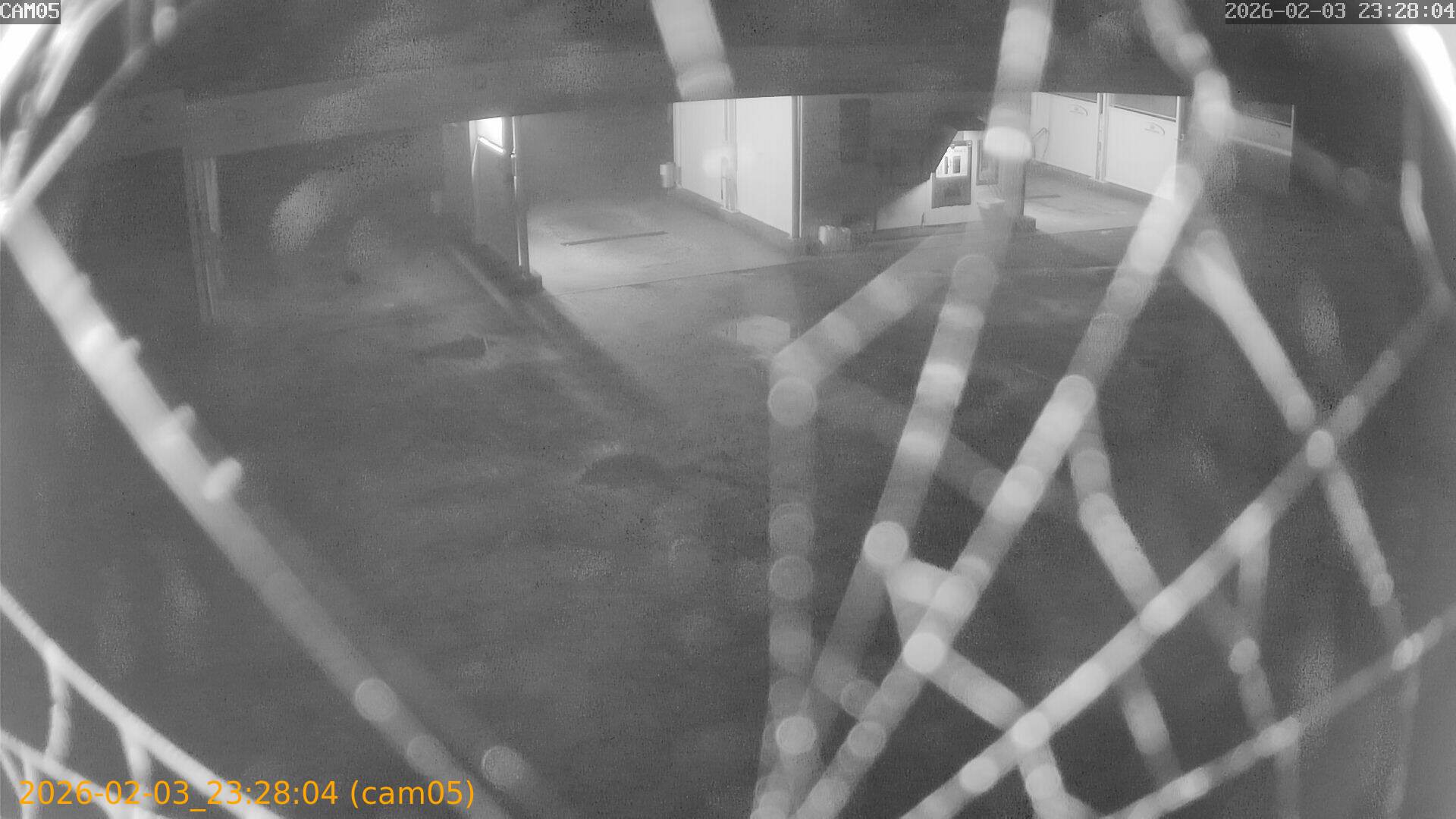 thumbnail_20260203232804