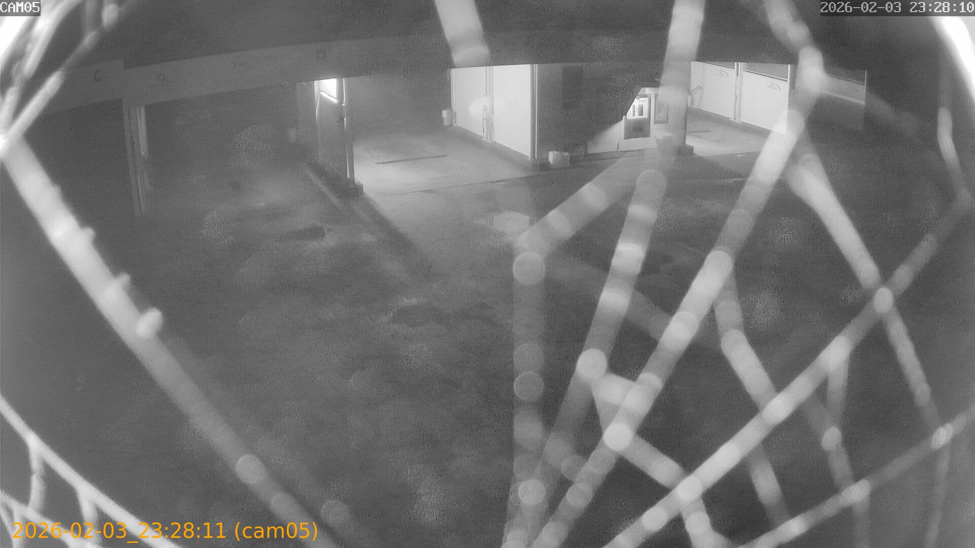 thumbnail_20260203232811