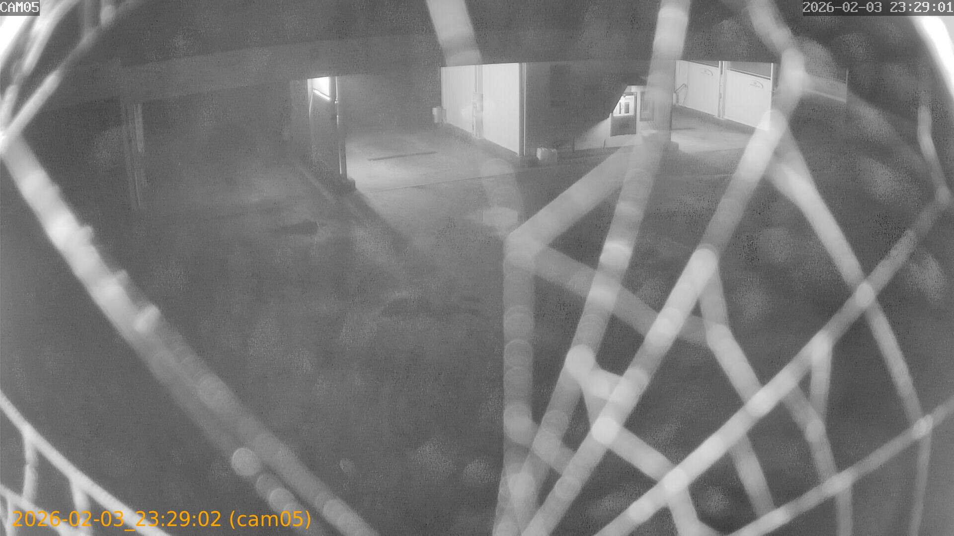 thumbnail_20260203232902