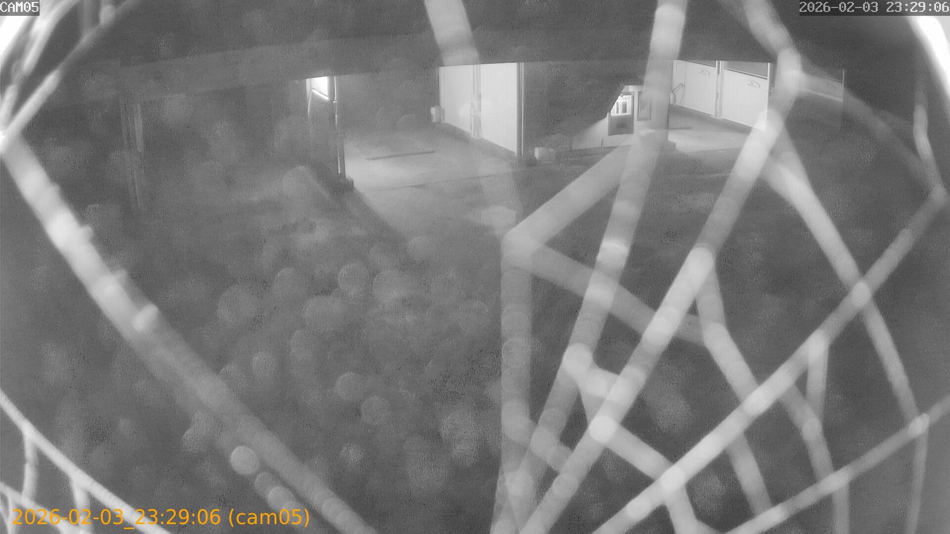 thumbnail_20260203232906