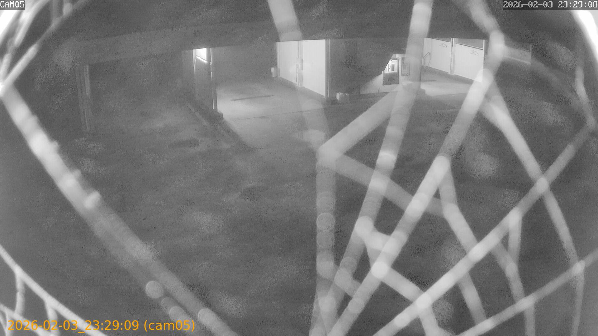 thumbnail_20260203232909