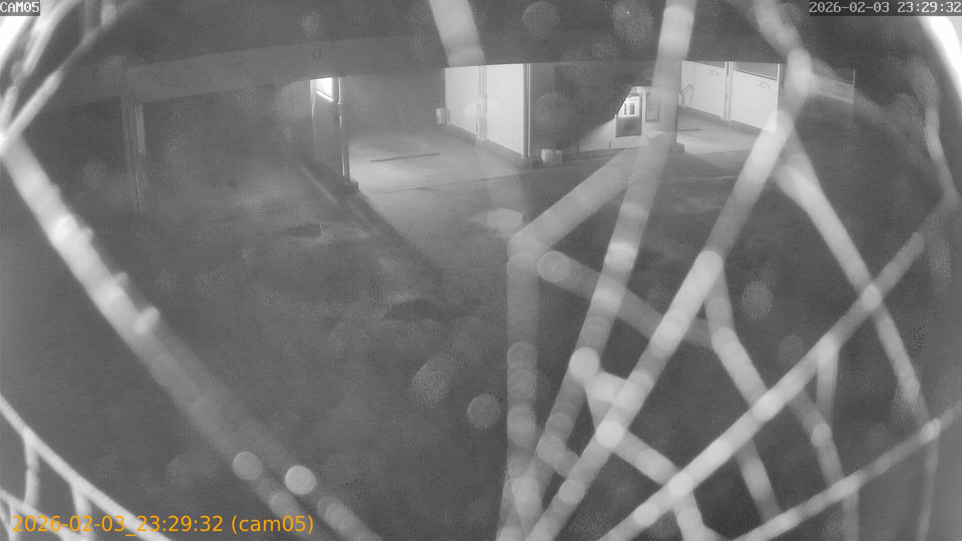 thumbnail_20260203232932