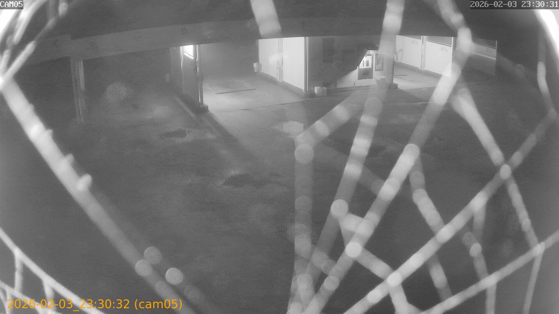 thumbnail_20260203233032