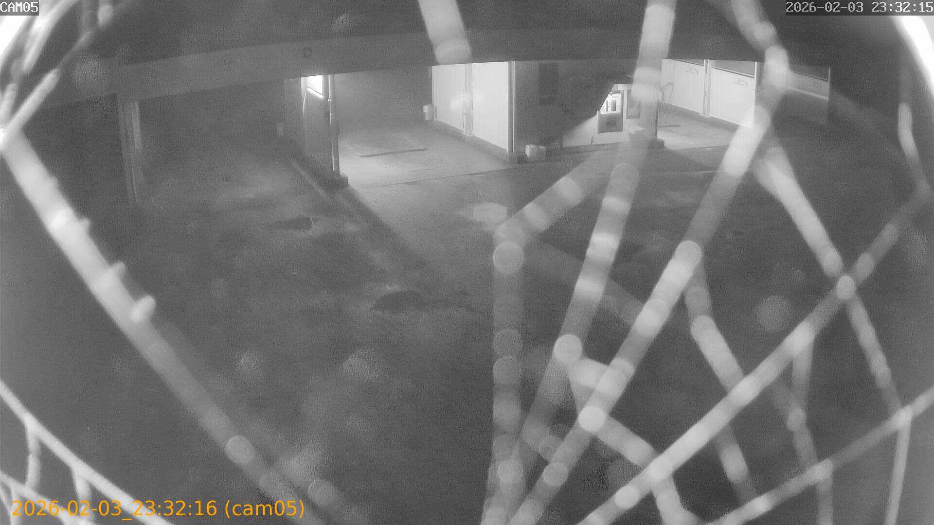 thumbnail_20260203233216