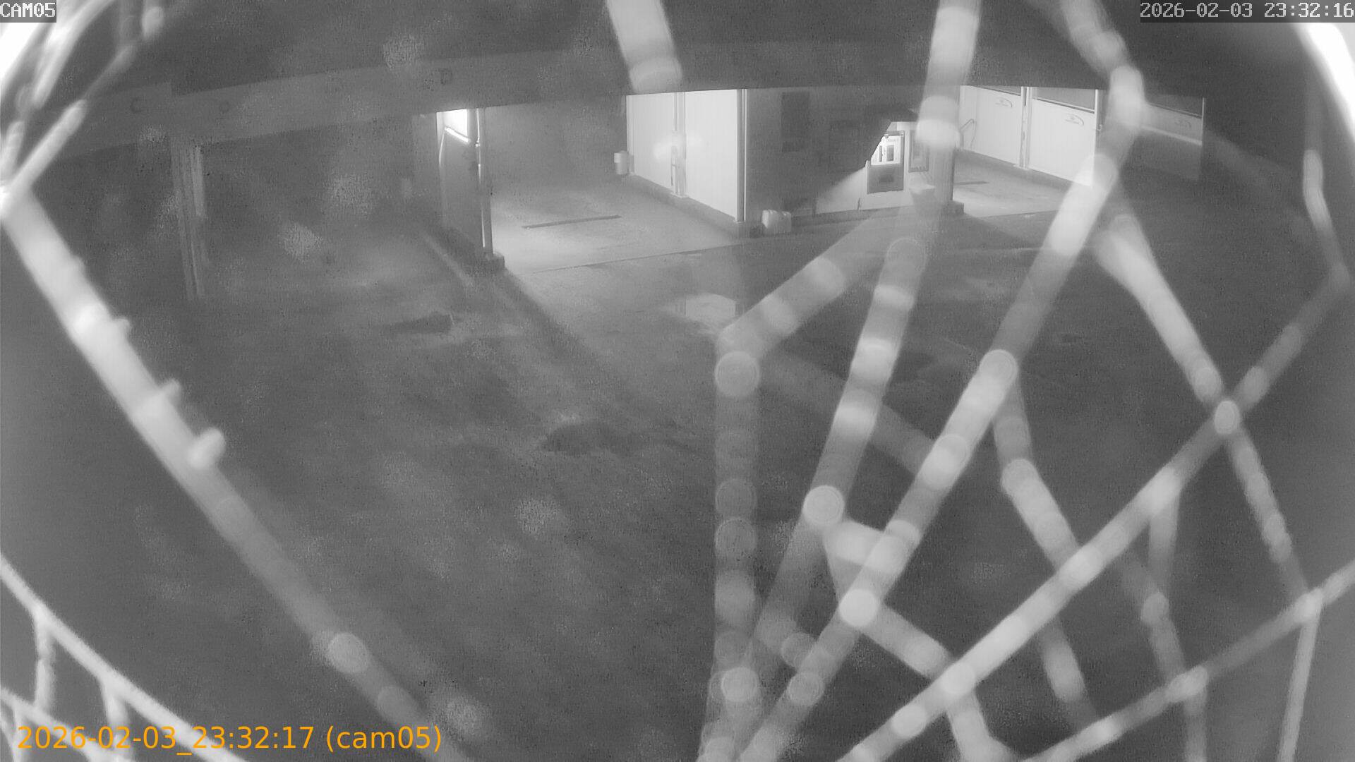 thumbnail_20260203233217