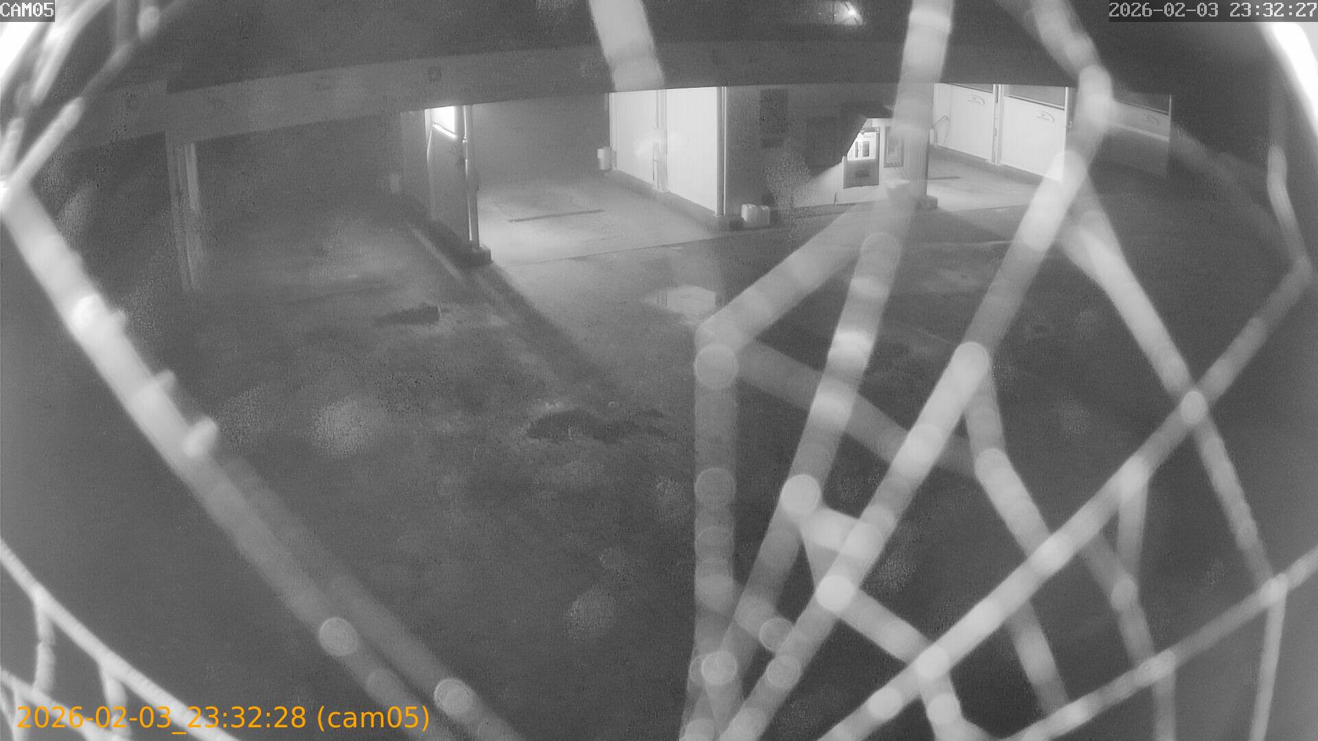 thumbnail_20260203233228