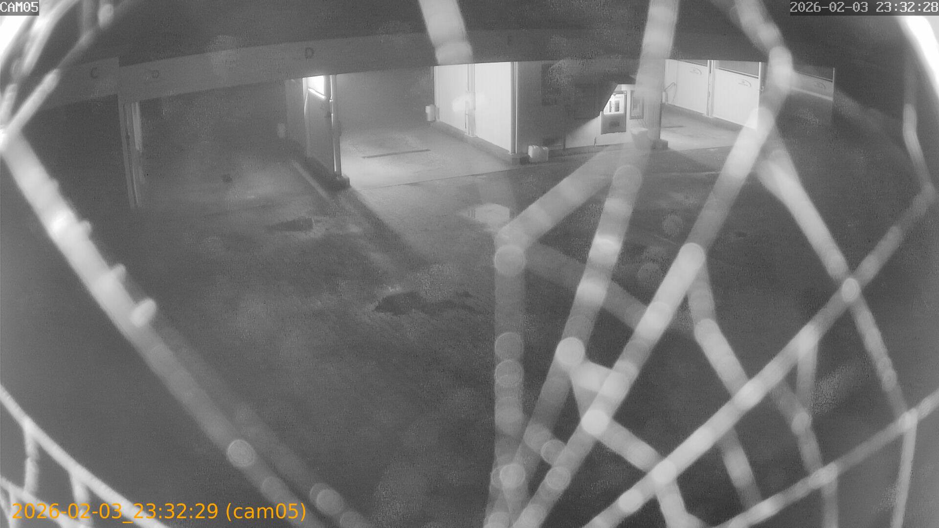 thumbnail_20260203233229