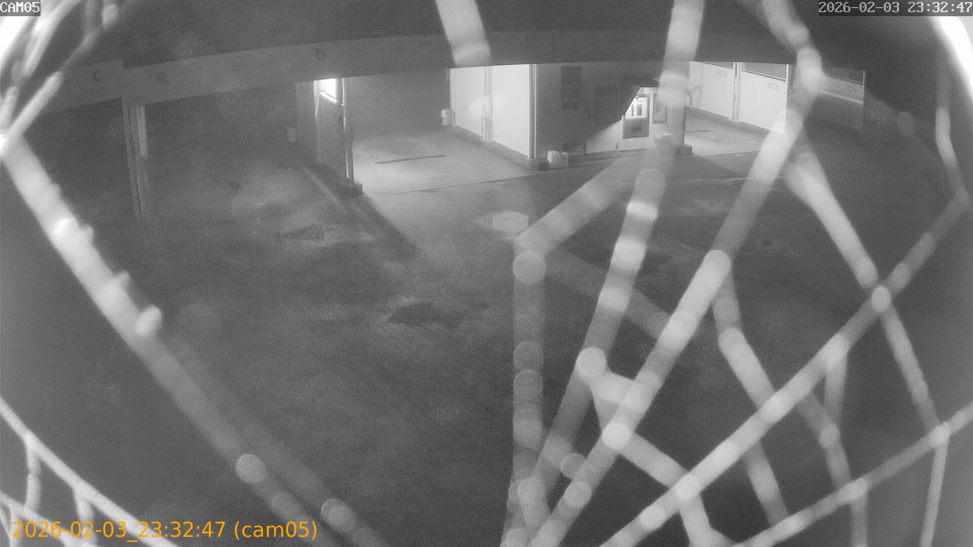 thumbnail_20260203233247