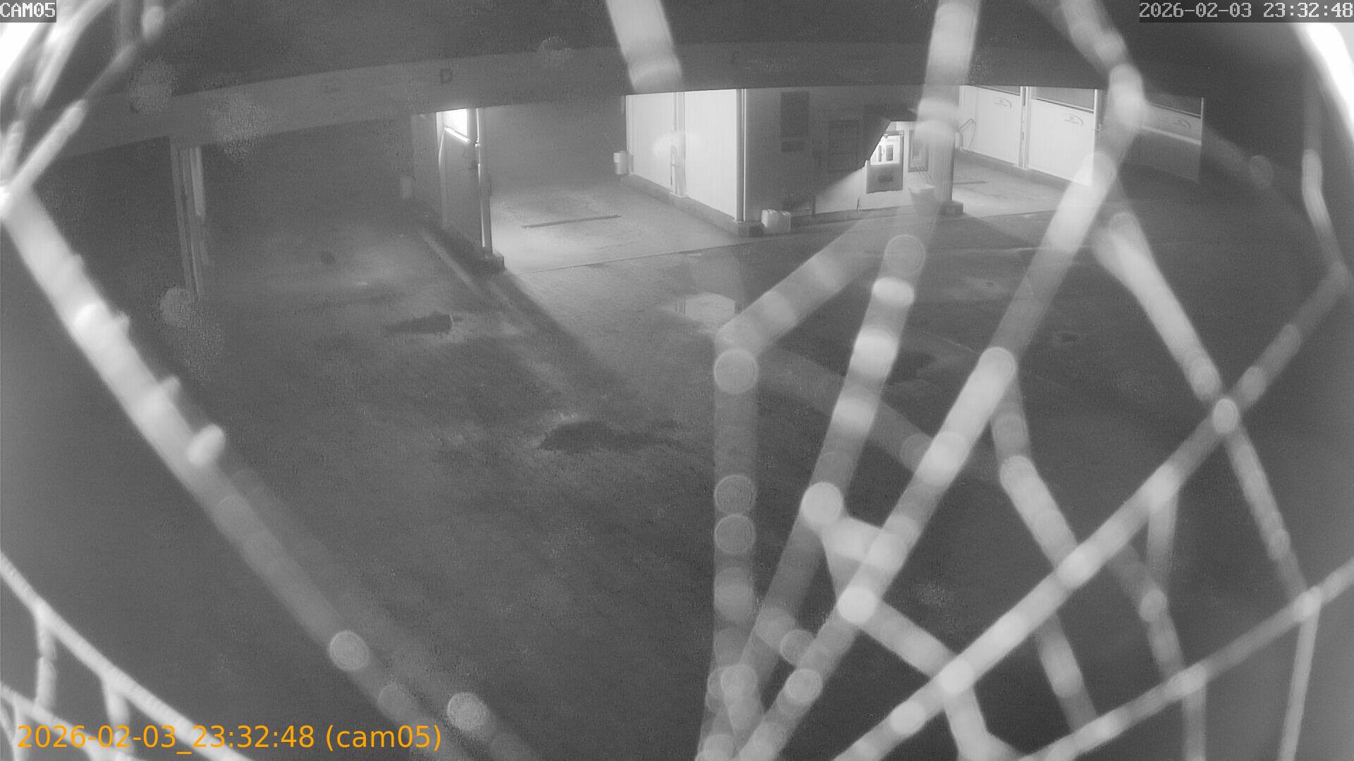 thumbnail_20260203233248