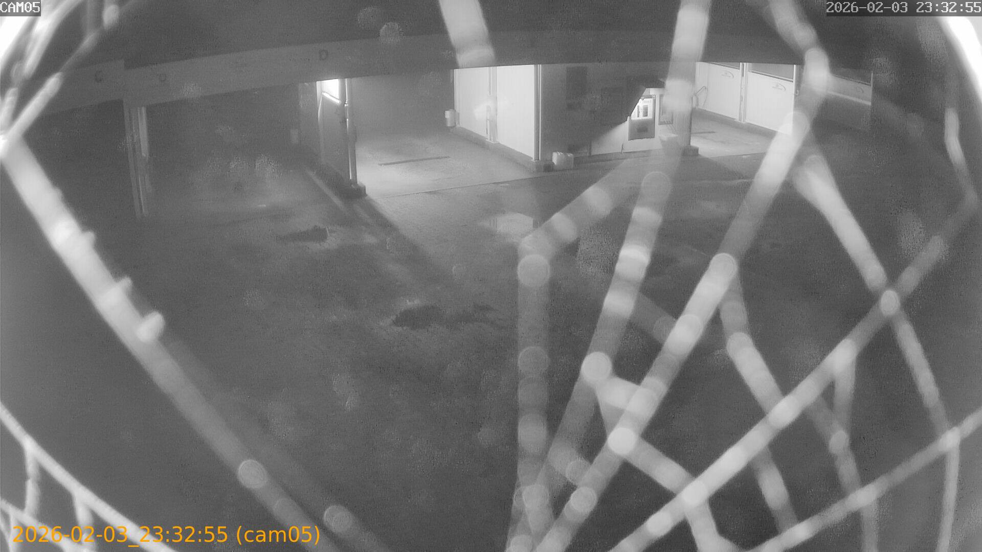 thumbnail_20260203233255